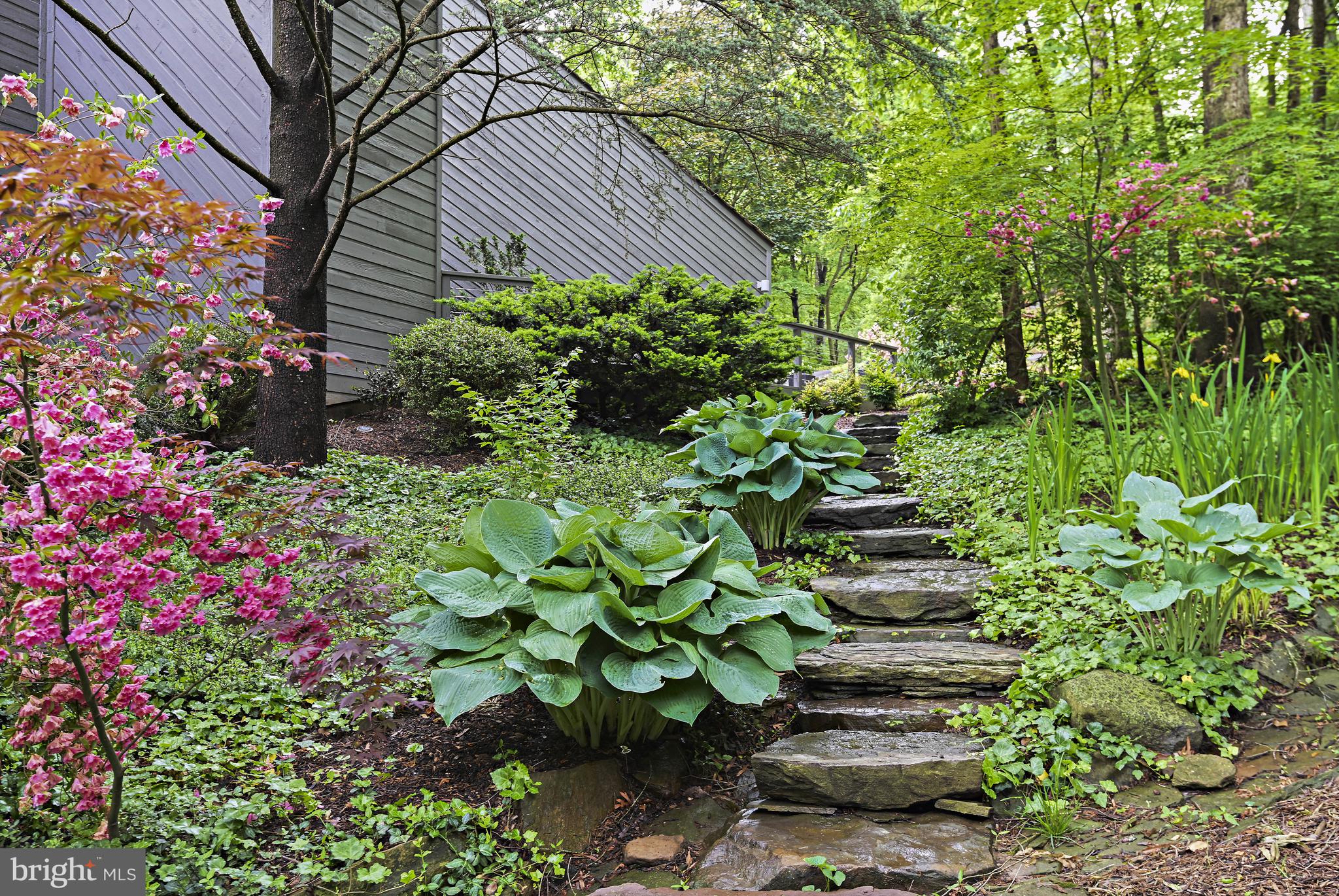 RESTON - Residential