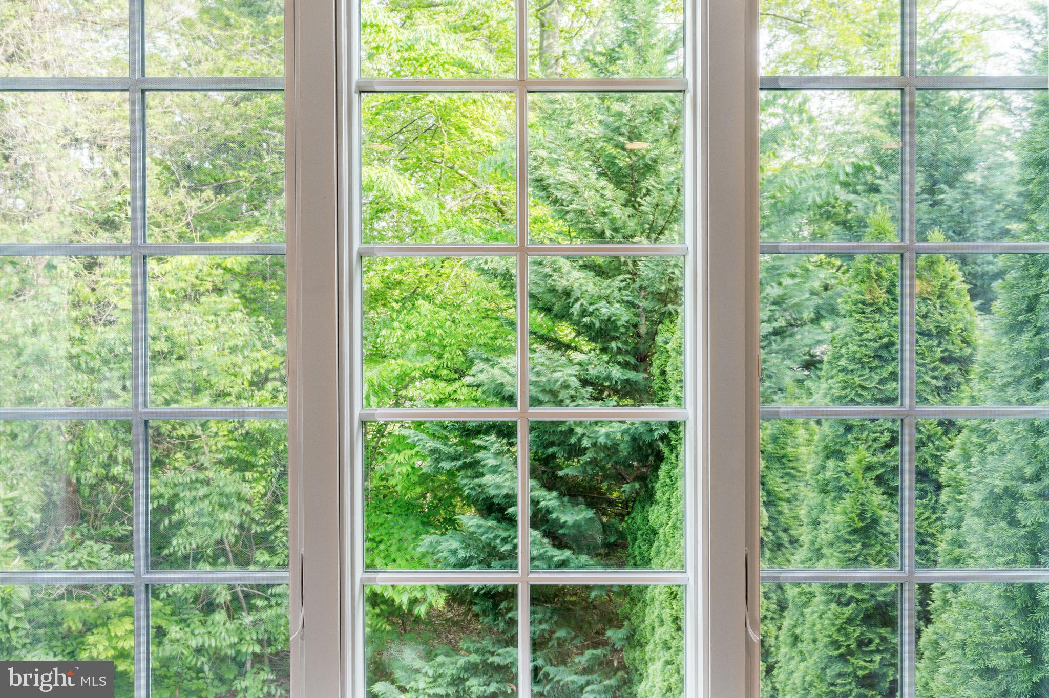 TRIANON - Residential