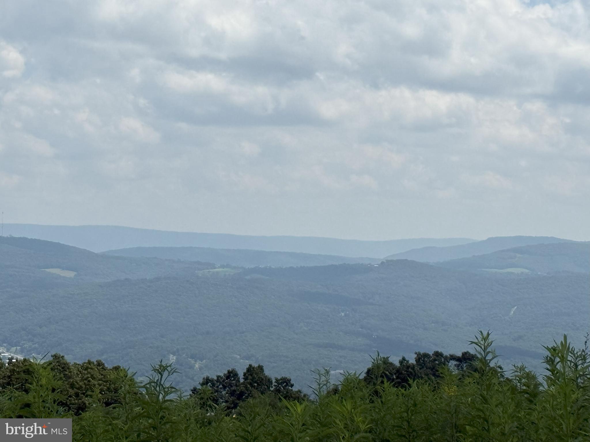 HIGH MOUNTAIN ORCHARD - Land