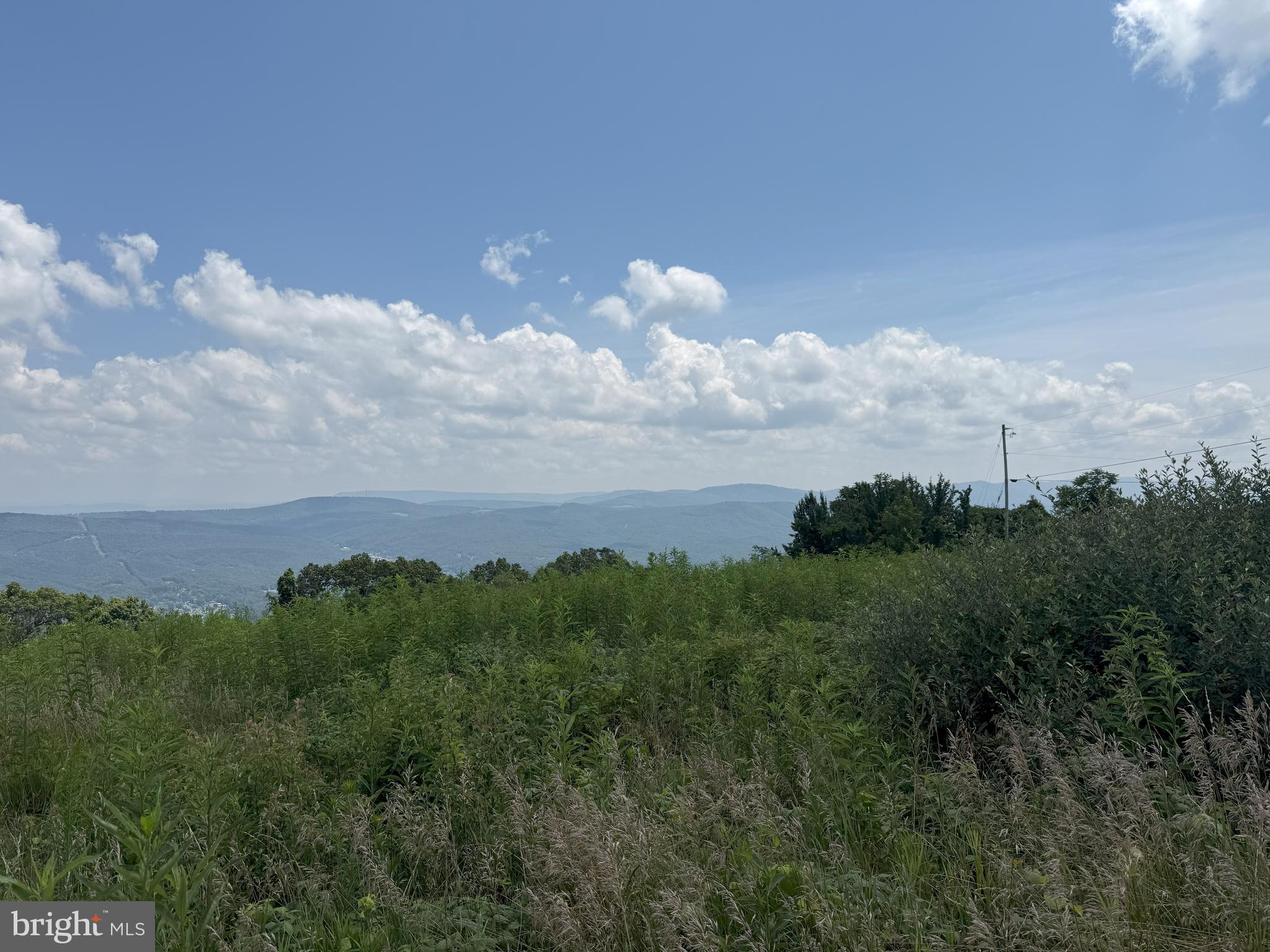 HIGH MOUNTAIN ORCHARD - Land