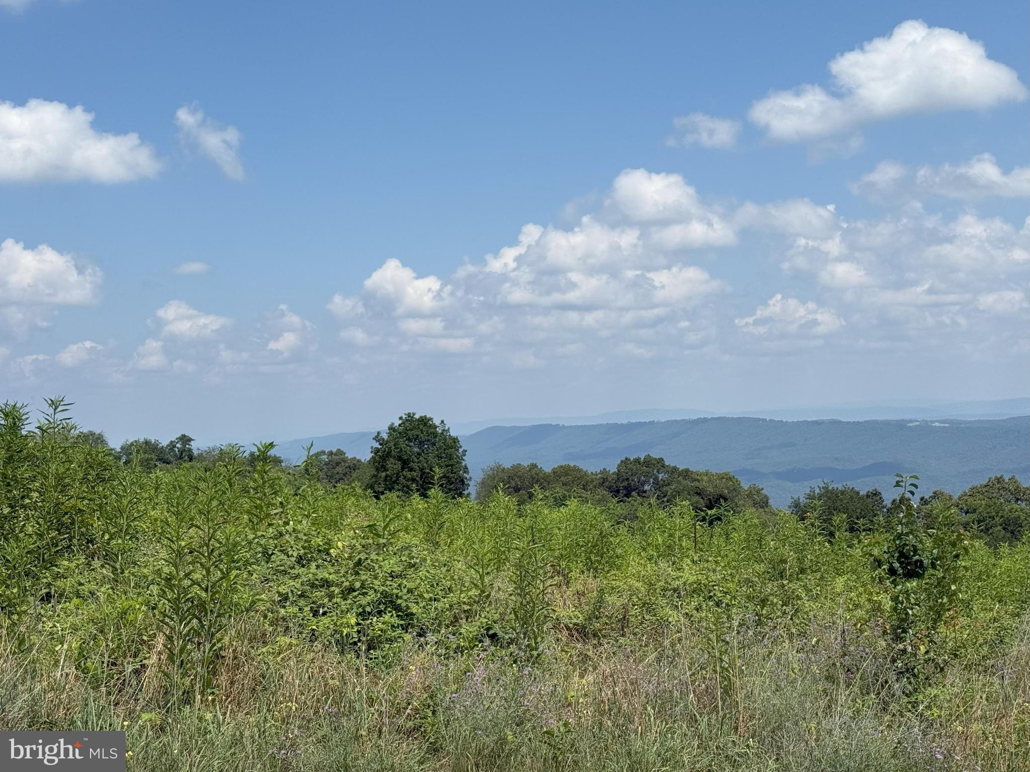 HIGH MOUNTAIN ORCHARD - Land