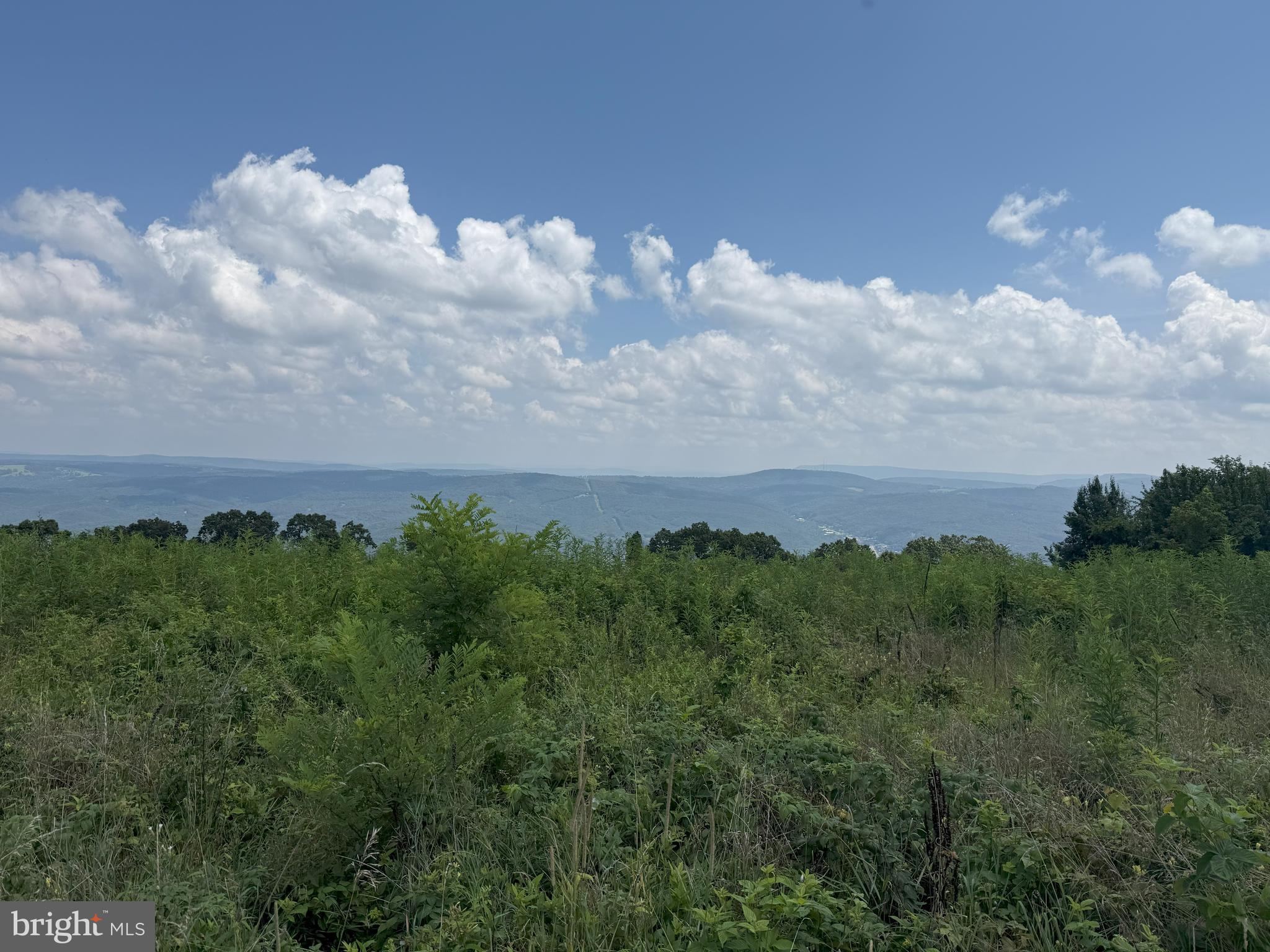 HIGH MOUNTAIN ORCHARD - Land