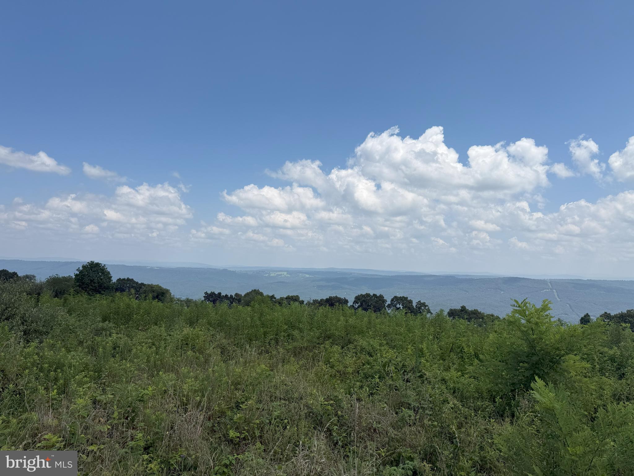 HIGH MOUNTAIN ORCHARD - Land