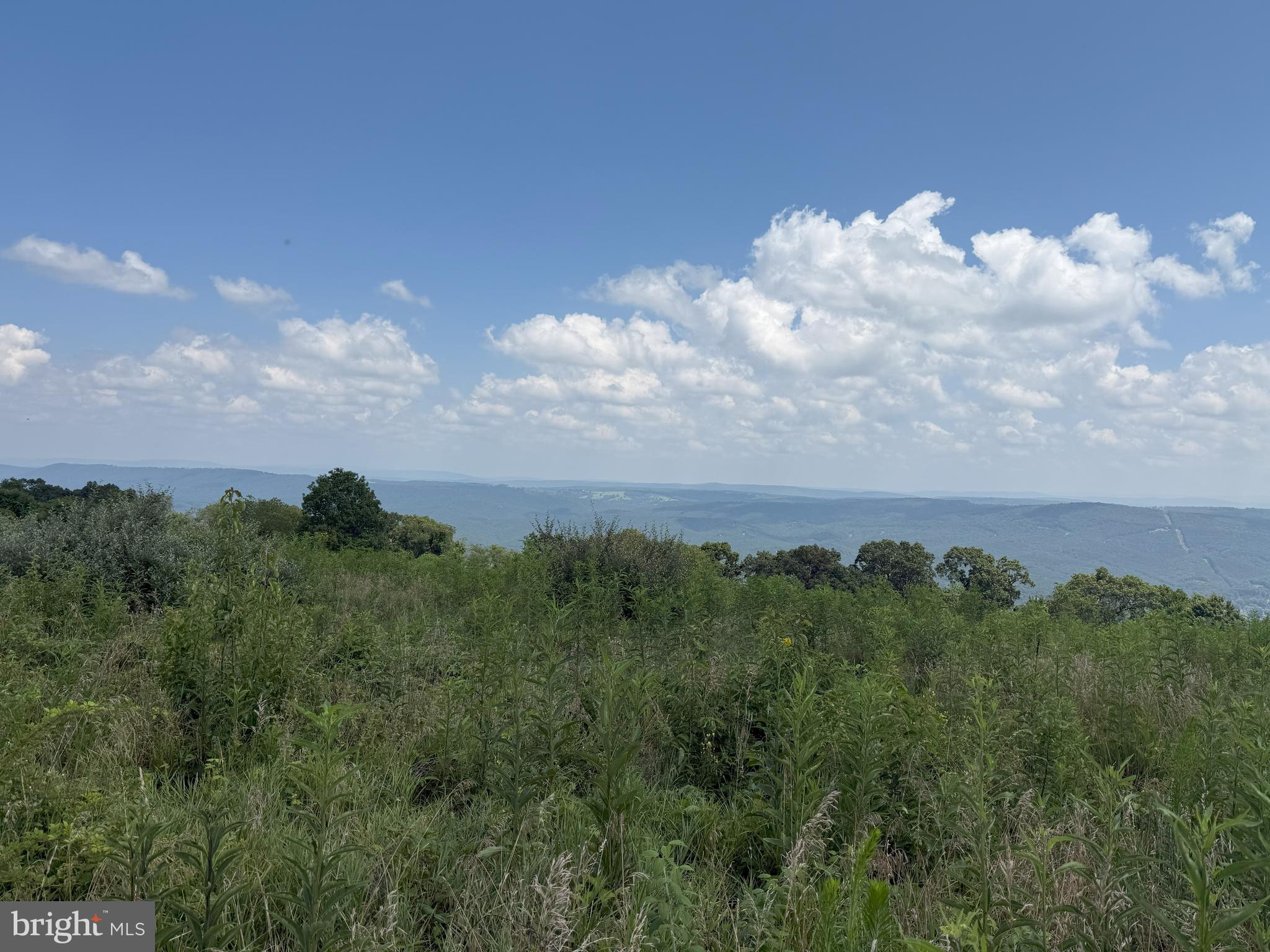 HIGH MOUNTAIN ORCHARD - Land