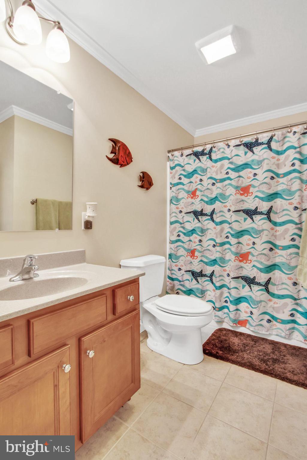 KOLLER POINTE - Residential