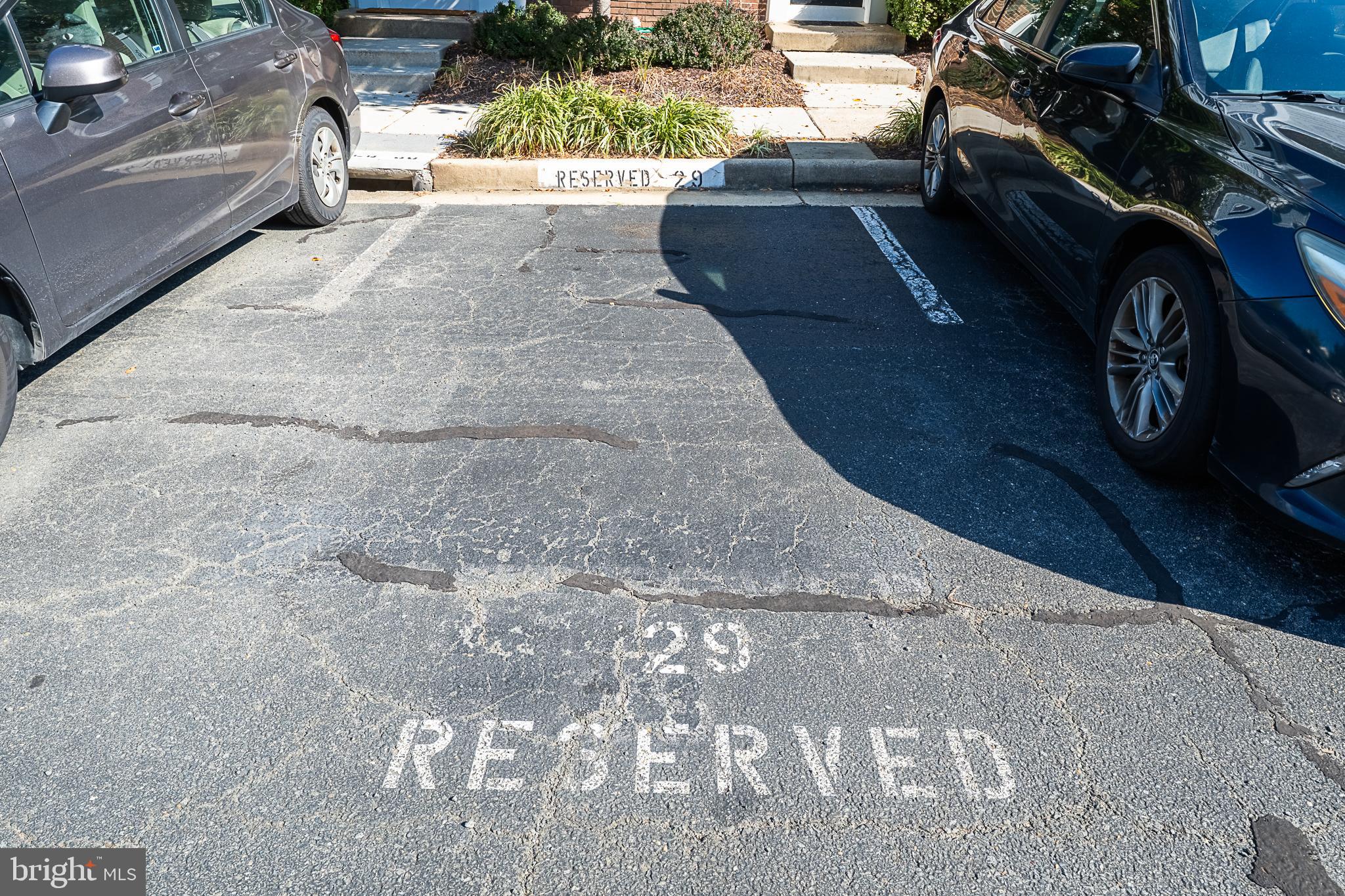 SYCAMORES AT VAN DORN - Residential Lease