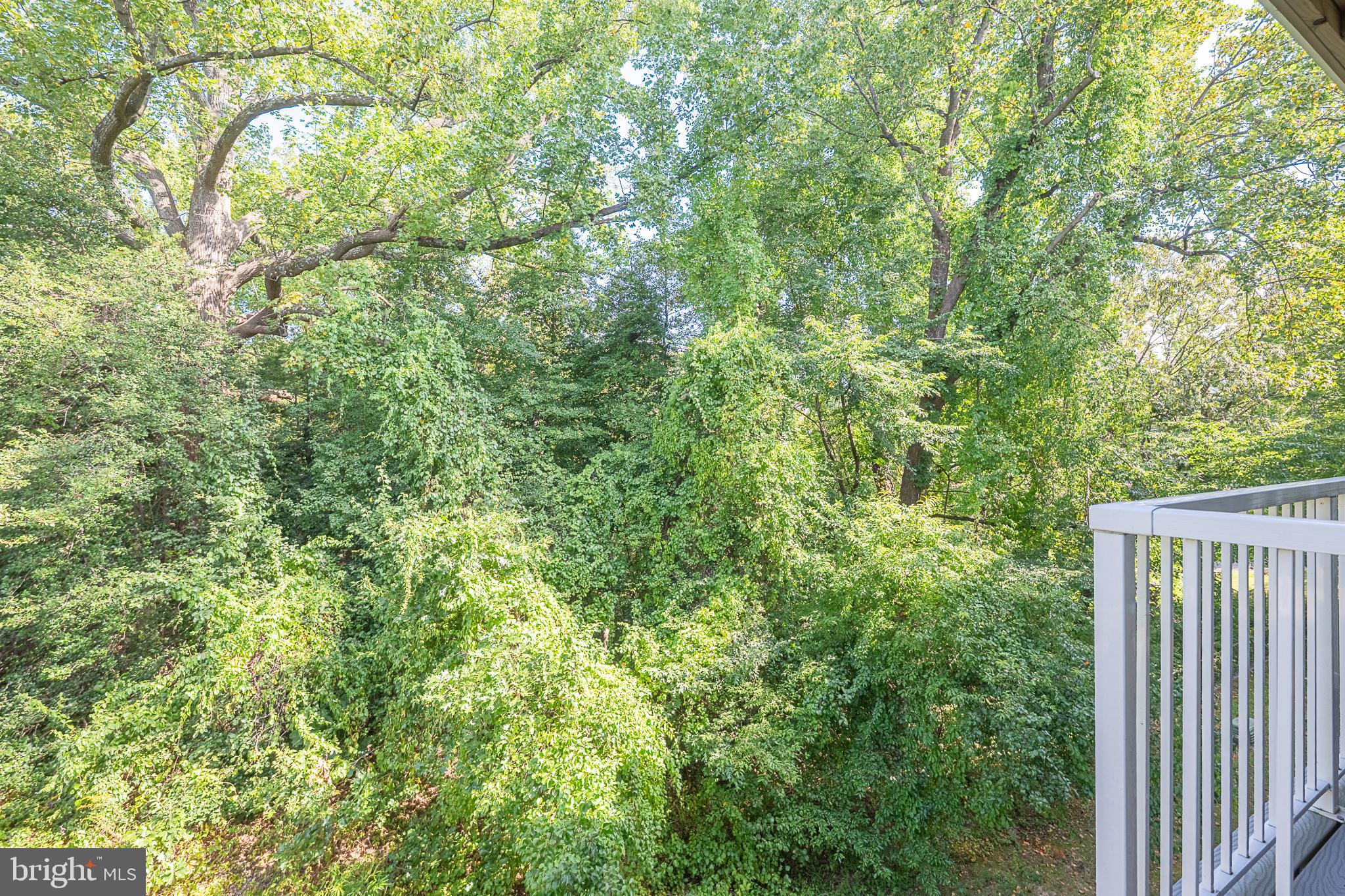 SYCAMORES AT VAN DORN - Residential Lease