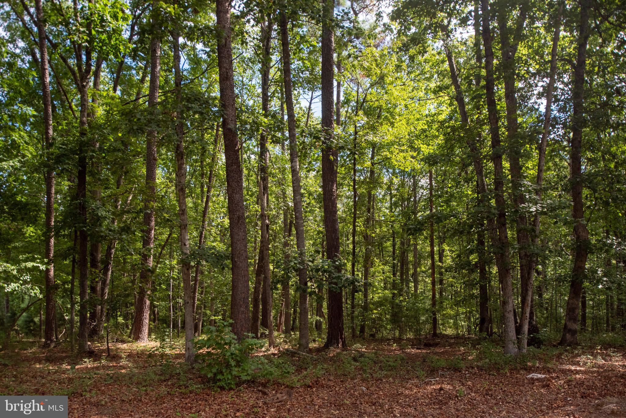 FAWN LAKE - Residential