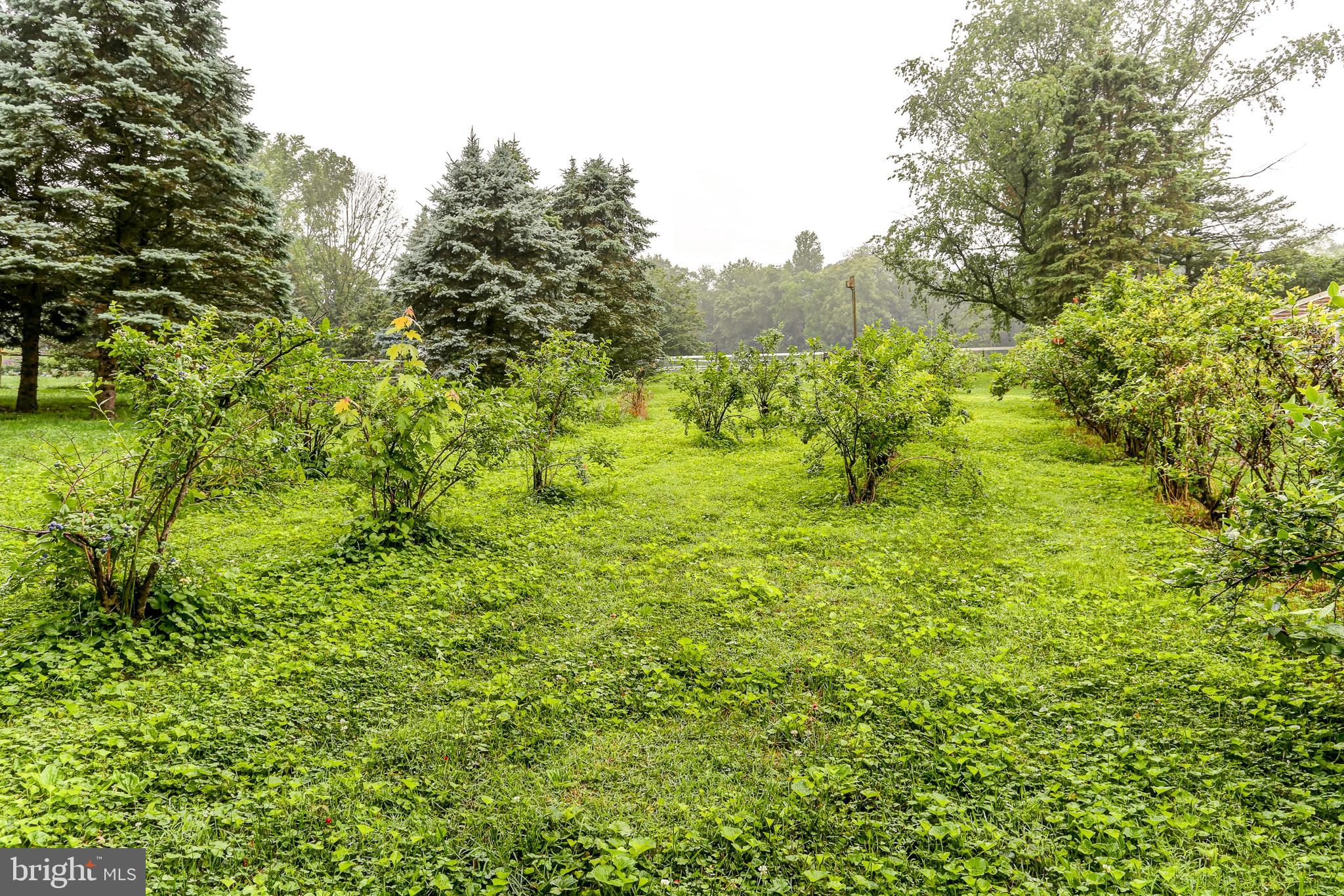 BRICKERVILLE - Residential