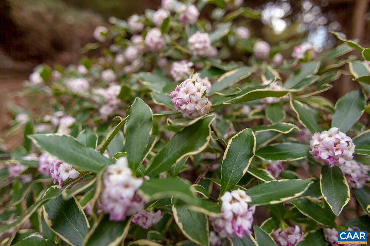 AUBURN HILLS - Residential