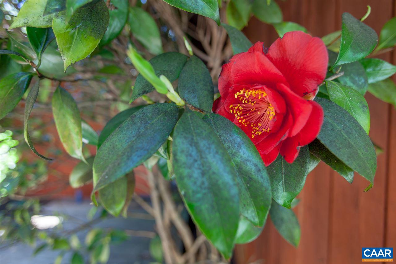 AUBURN HILLS - Residential