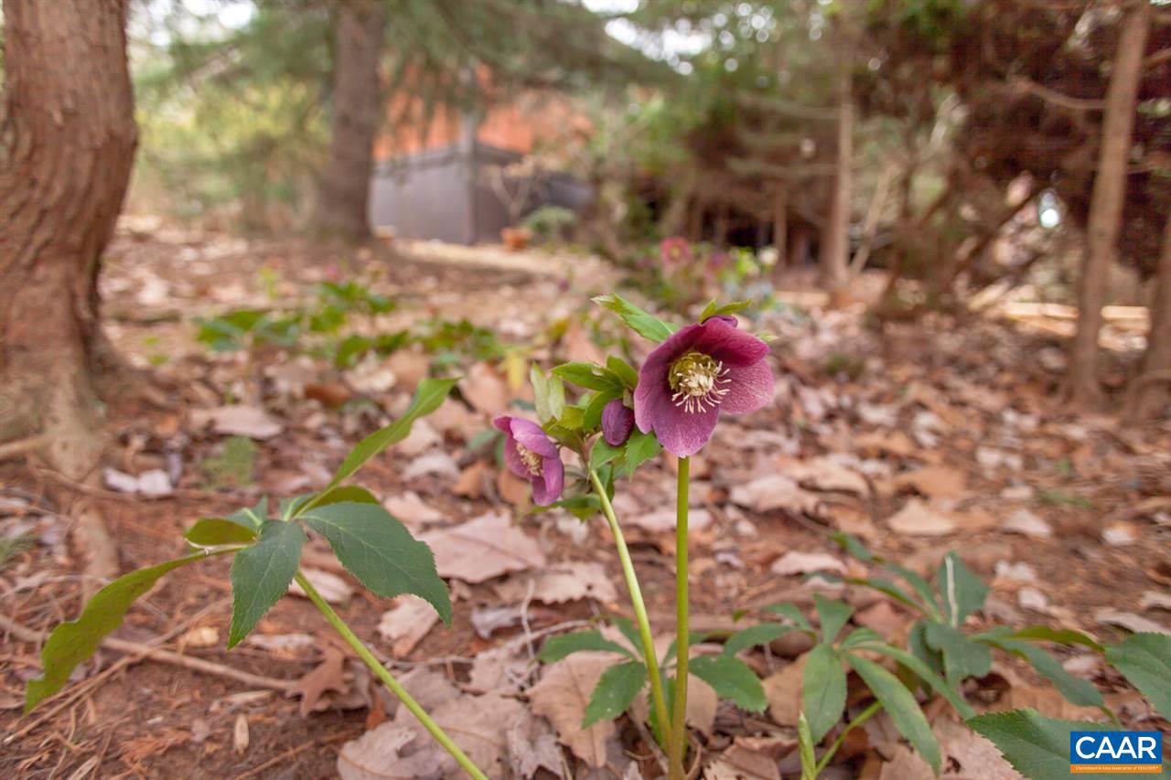 AUBURN HILLS - Residential