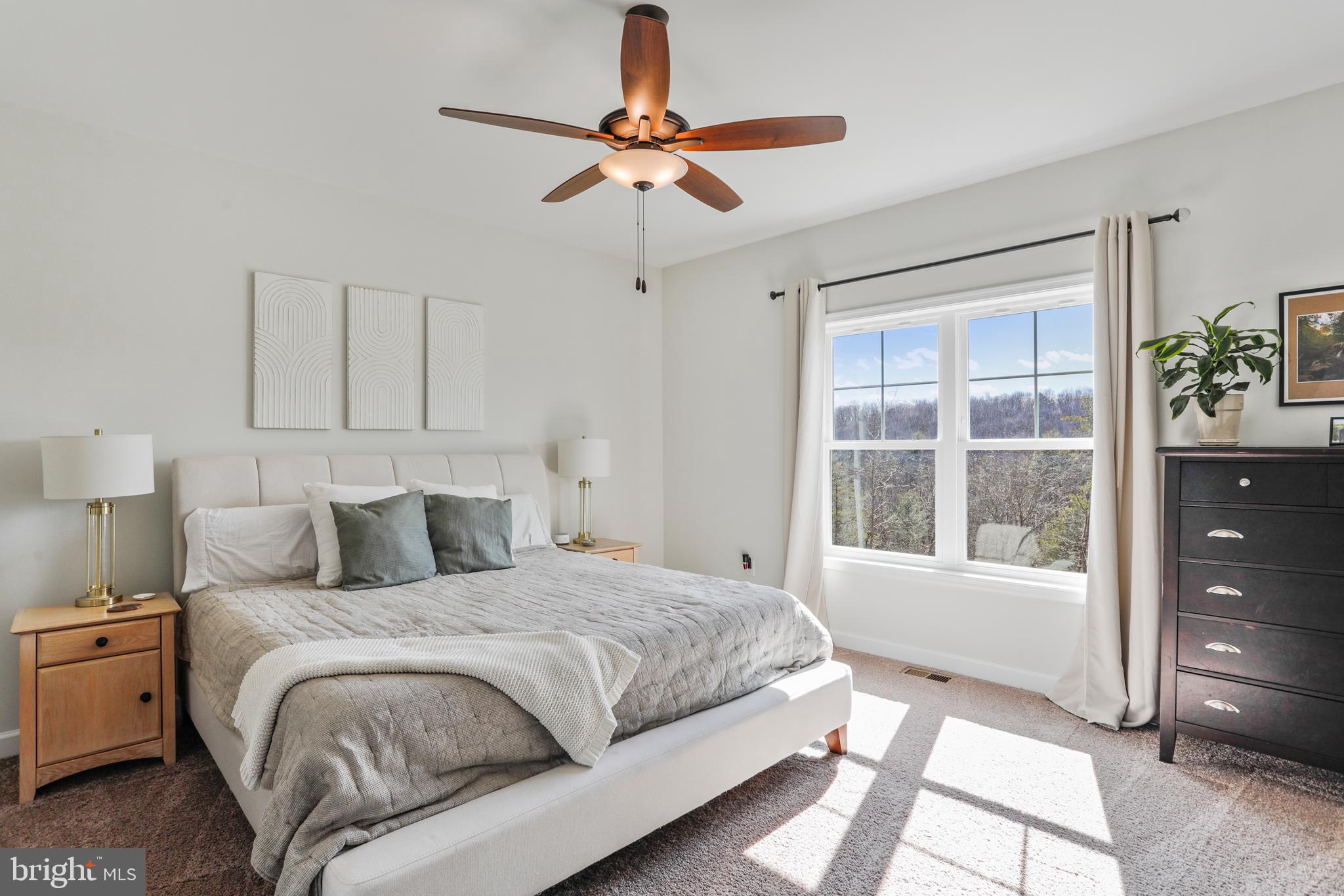 CAREFREE ACRES - Residential