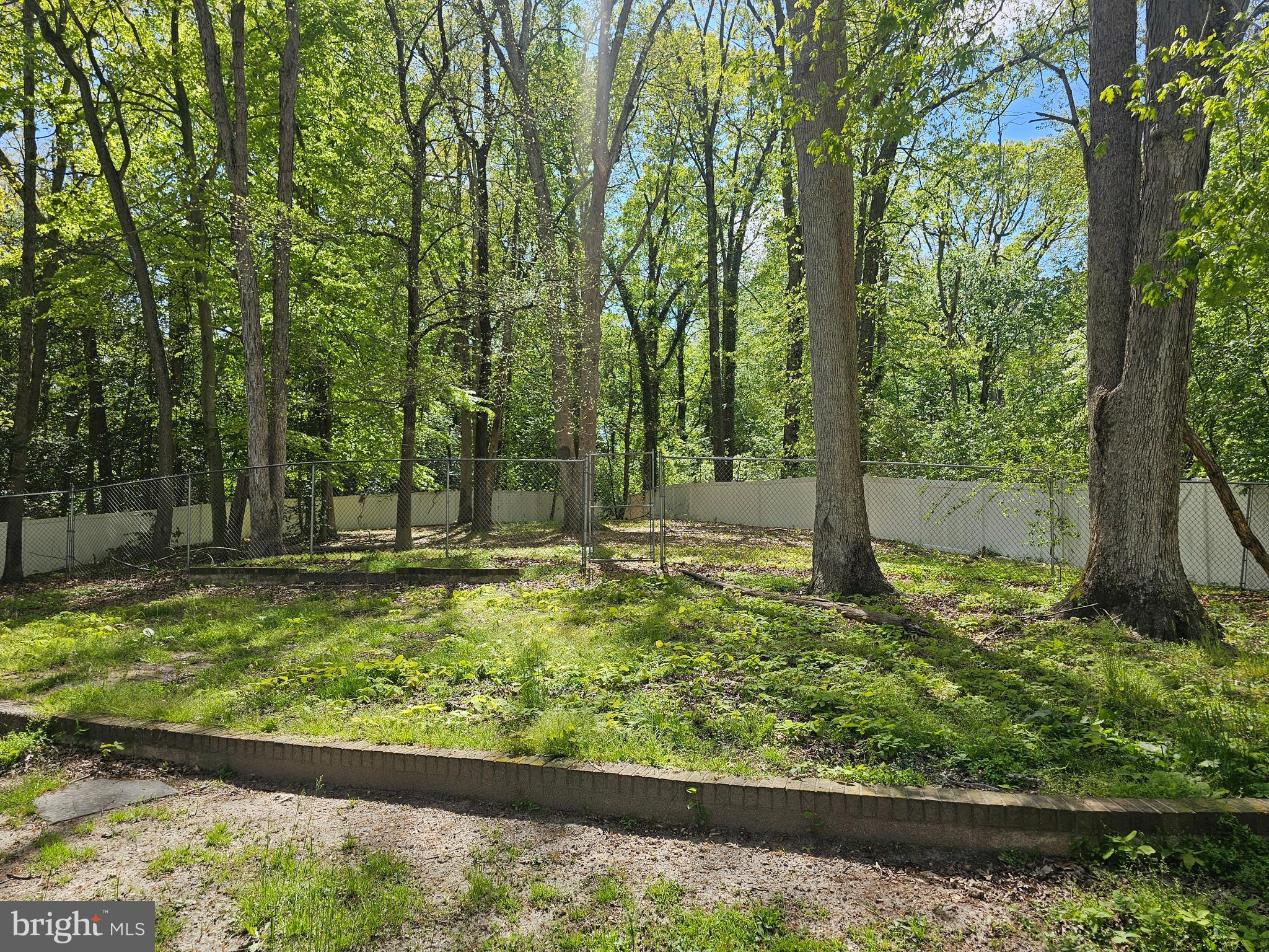 5 HIGGINS AVENUE