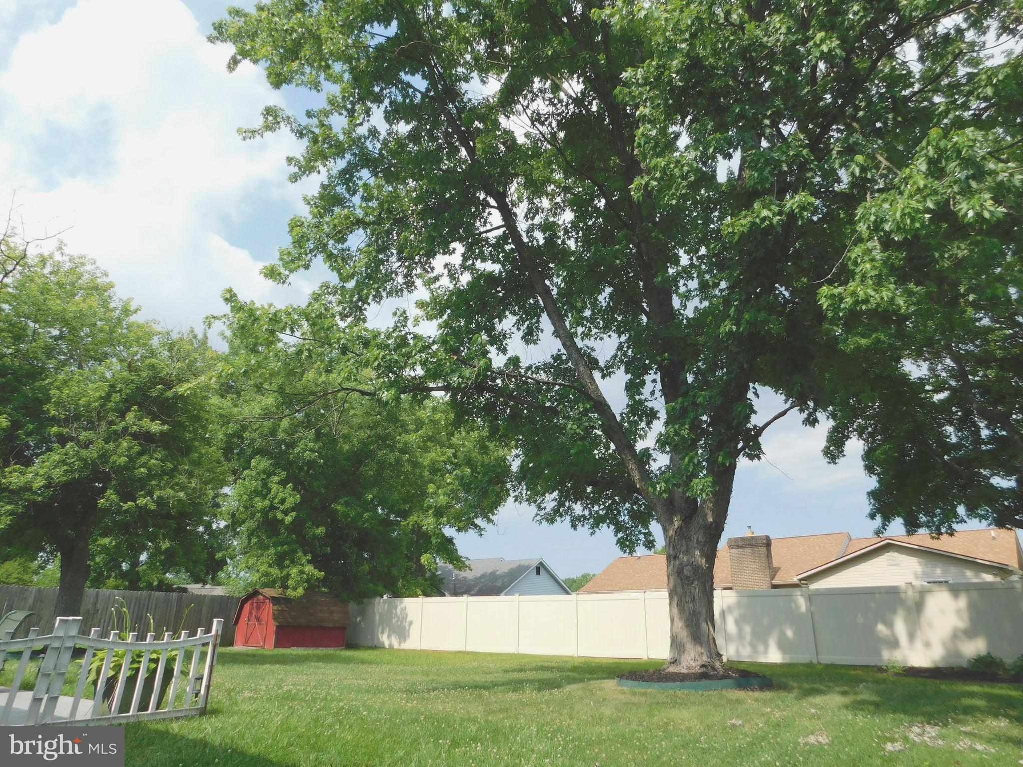 PINEFIELD - Residential