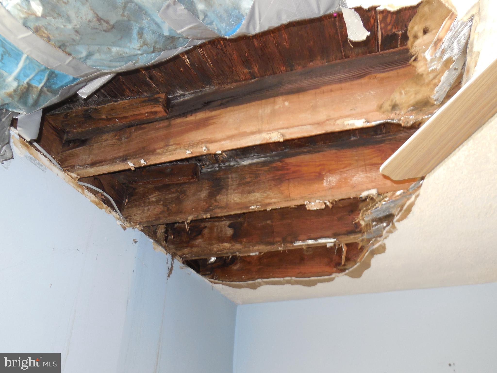 GRAY HAVEN - Residential