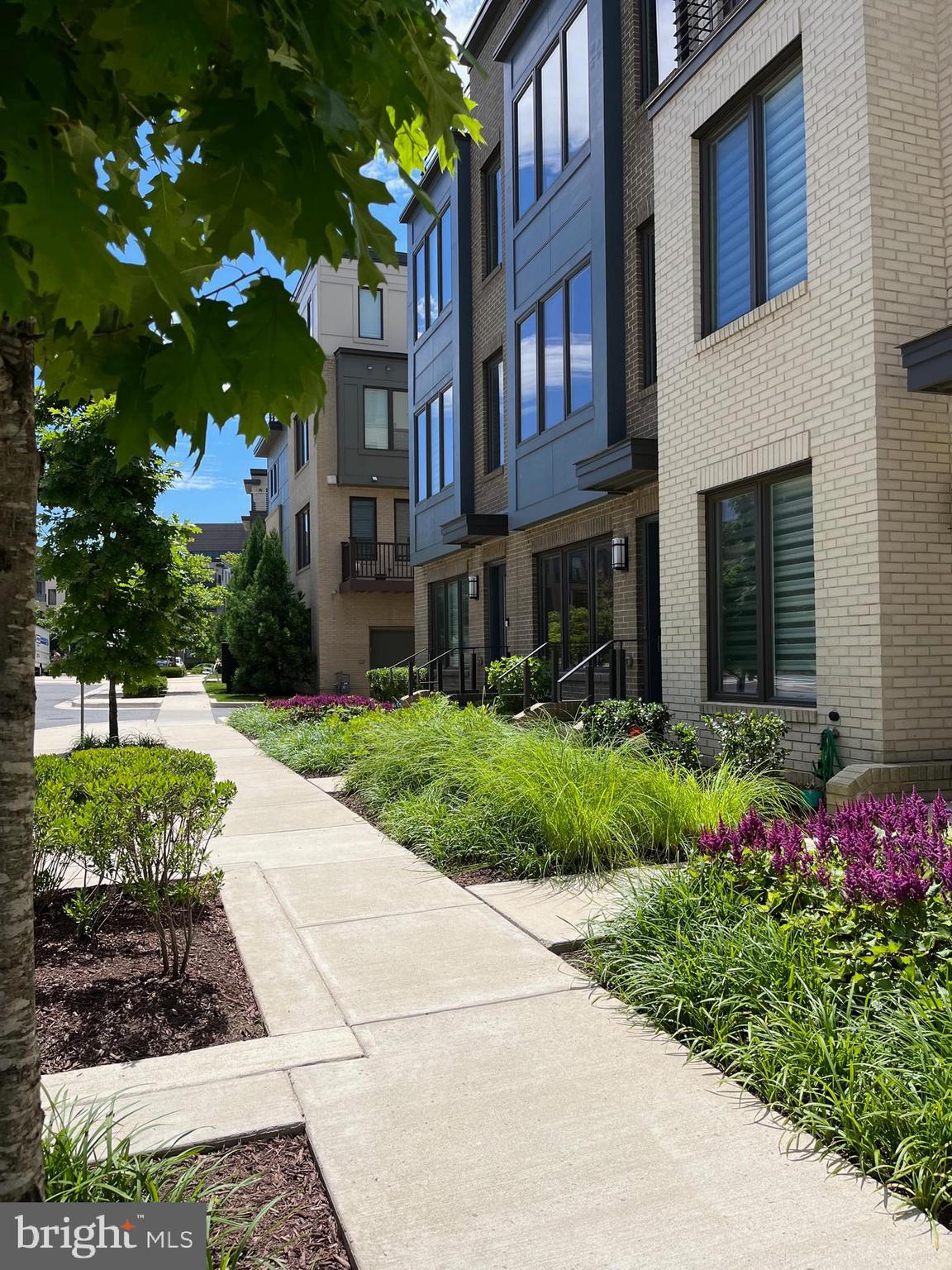 MONTGOMERY ROW - Residential Lease