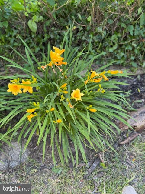 BRADBURY HEIGHTS - Residential