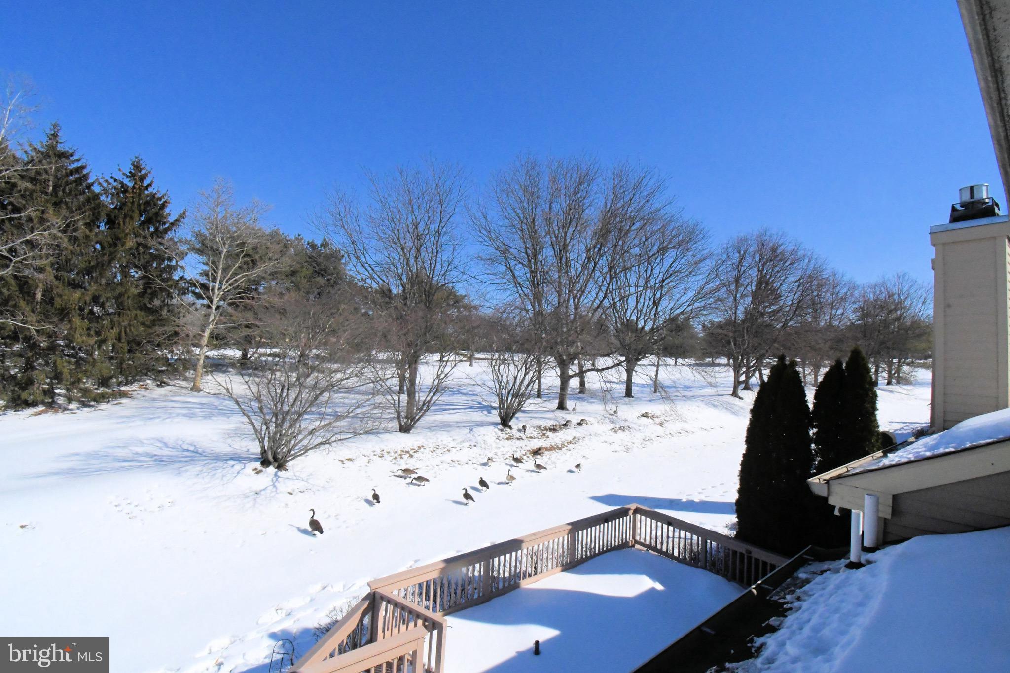 PINE CREST - Residential