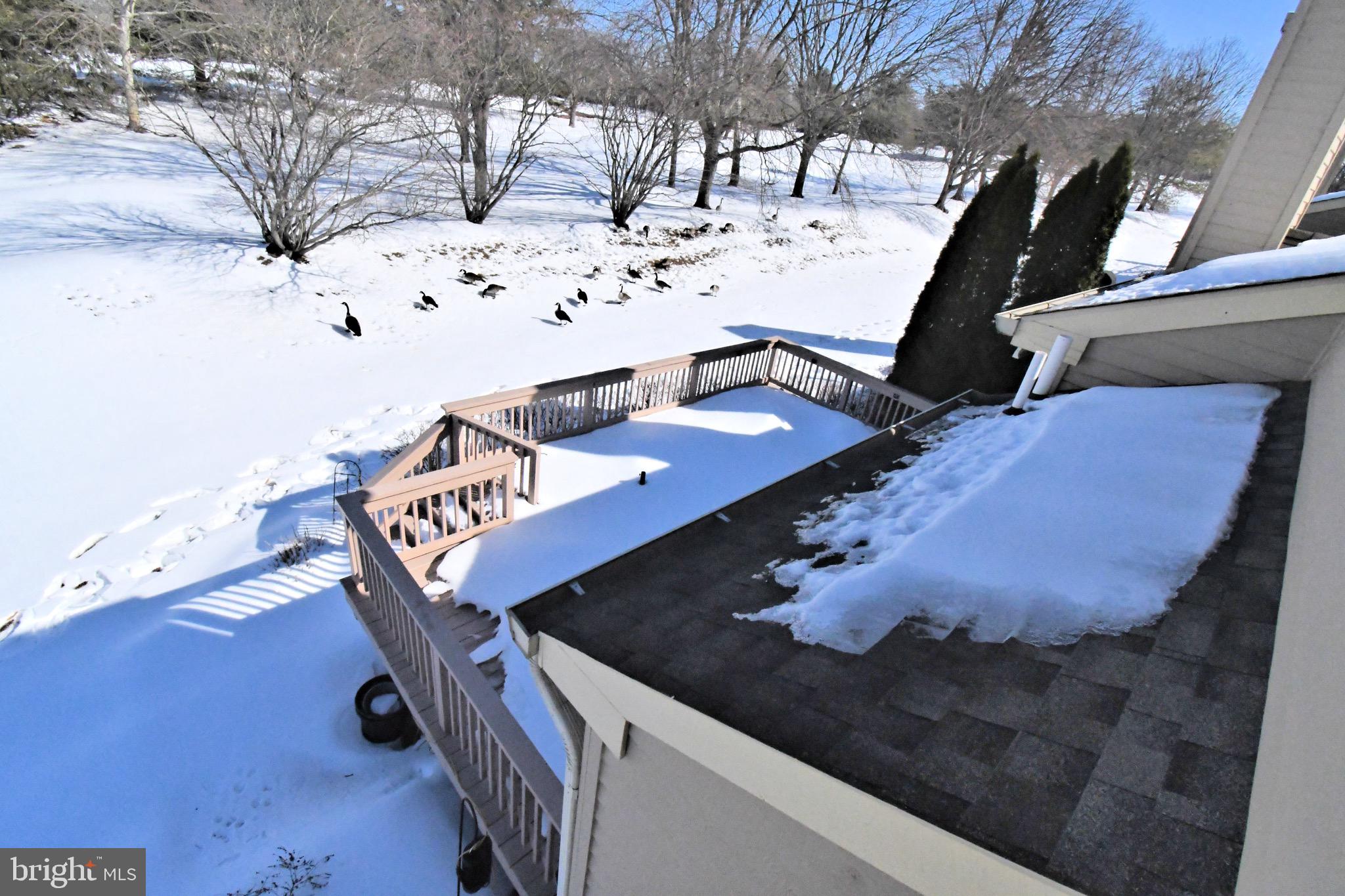 PINE CREST - Residential