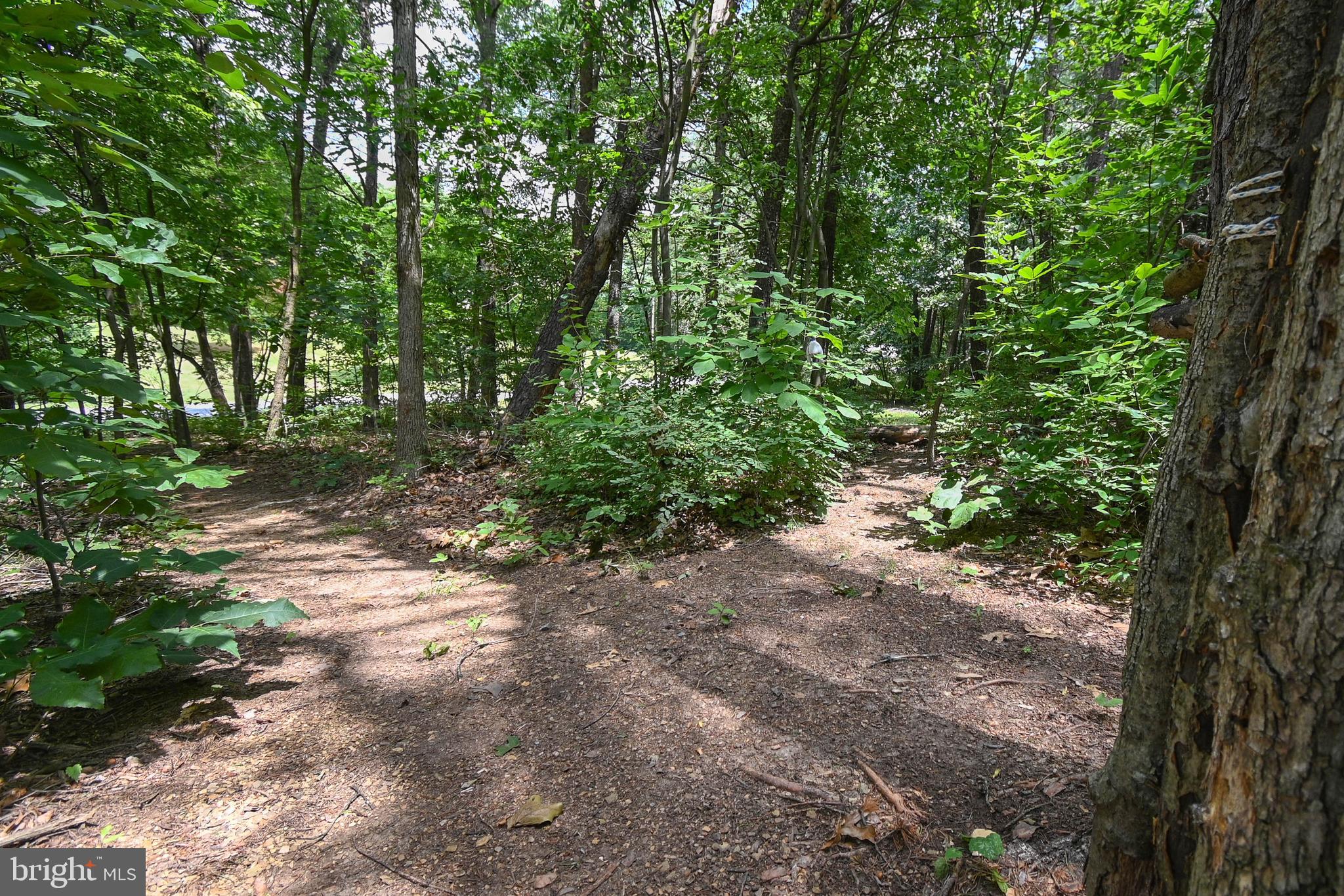 FOXCREST MANOR - Residential