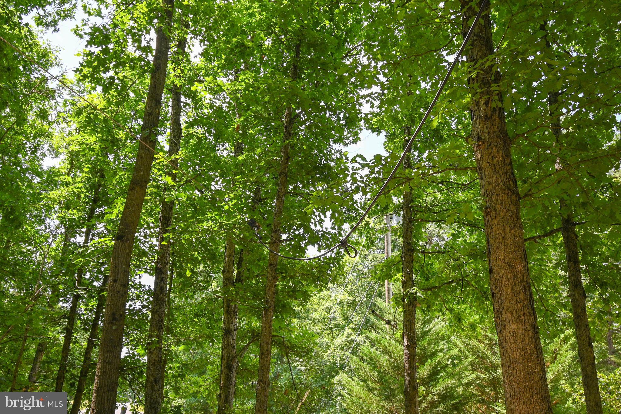 FOXCREST MANOR - Residential