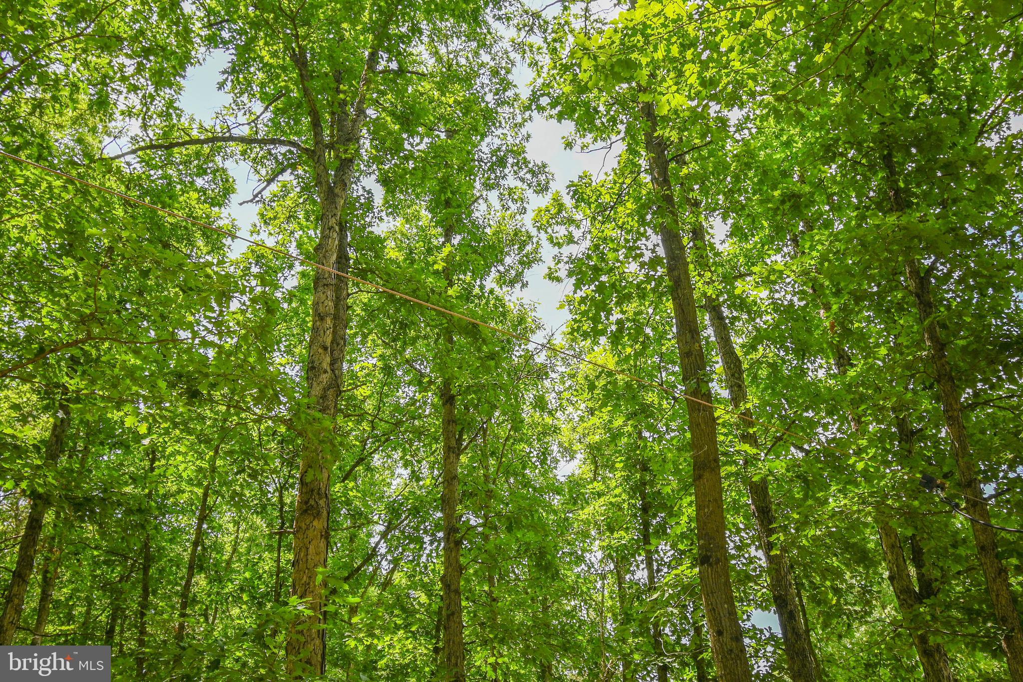 FOXCREST MANOR - Residential