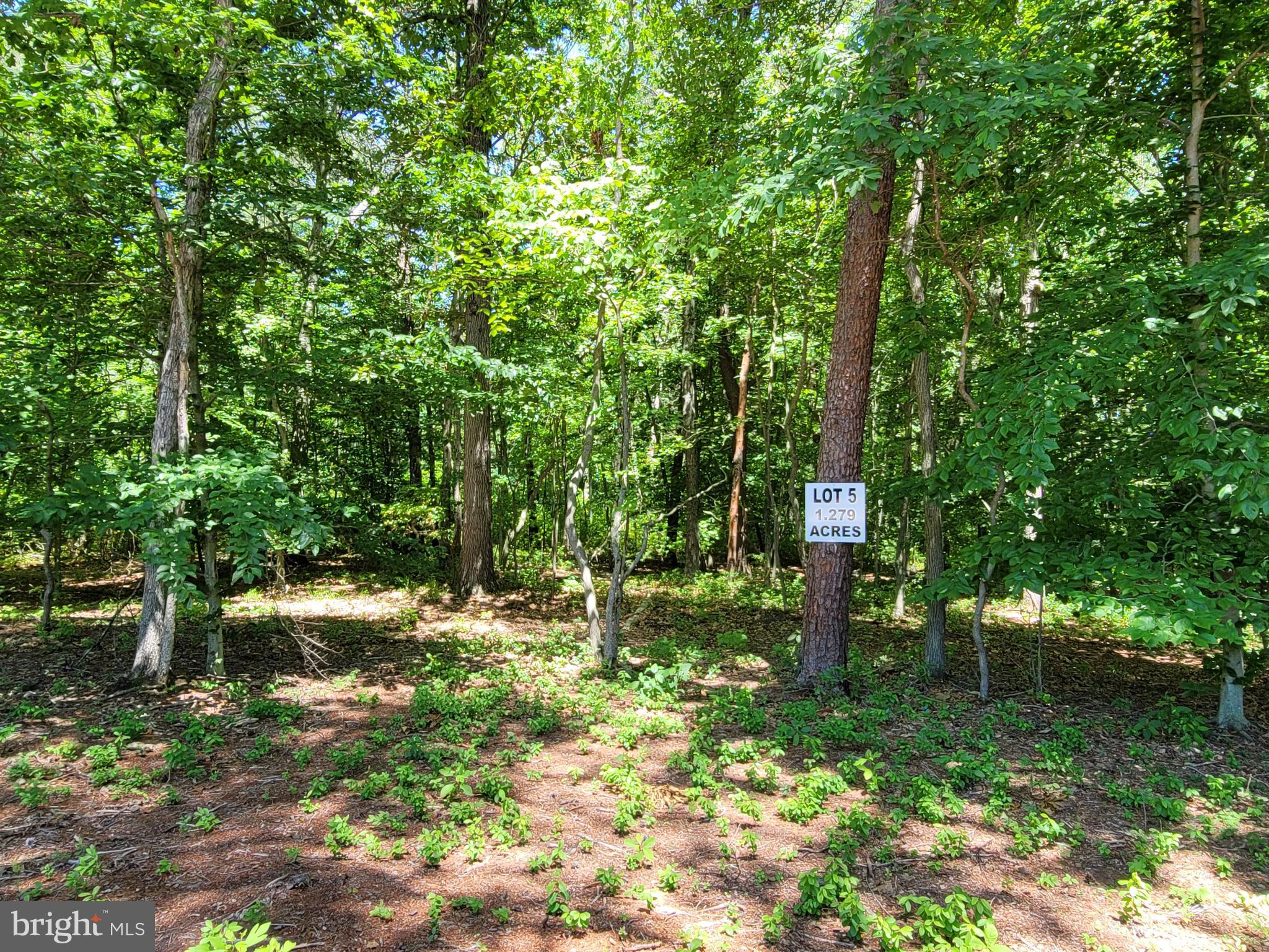 BURRISVILLE ROAD