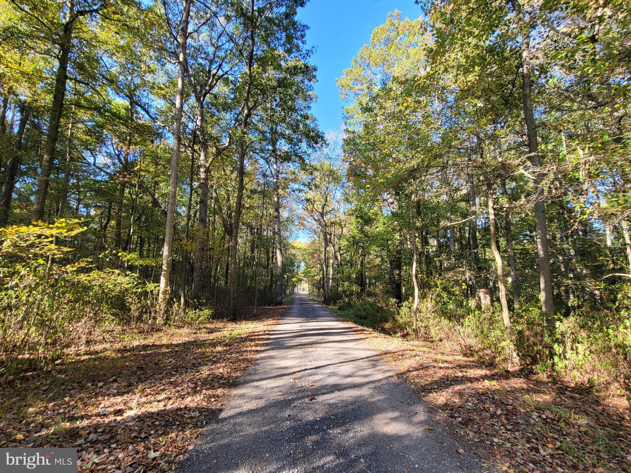 BURRISVILLE ROAD