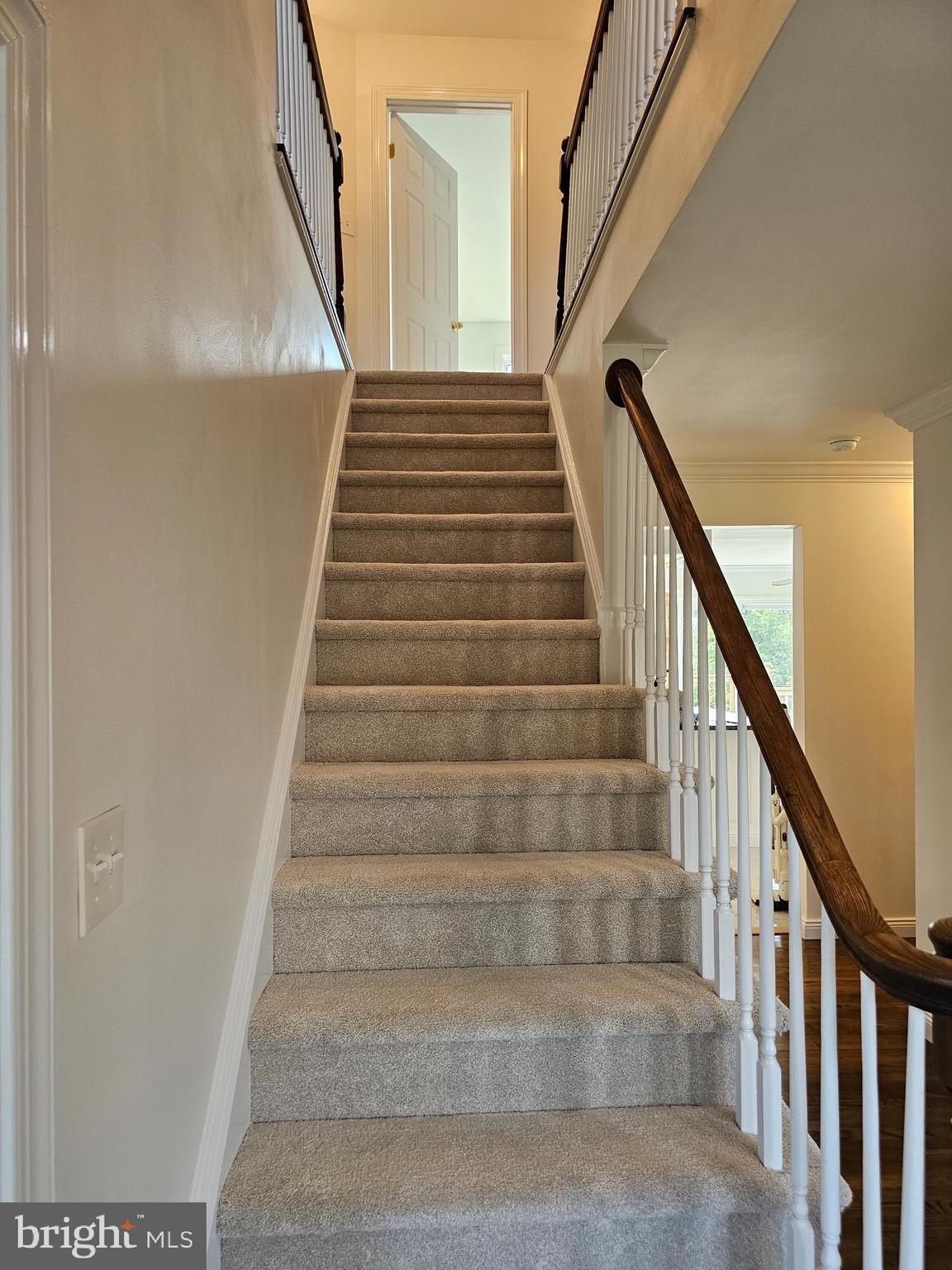 FOREST LAKES - Residential