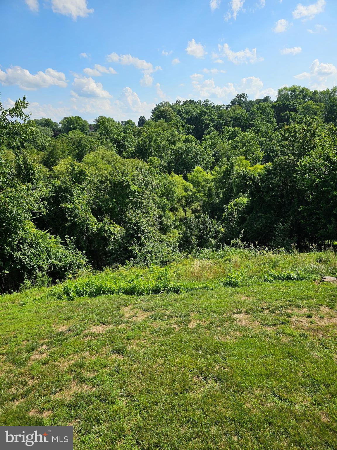 FOREST LAKES - Residential