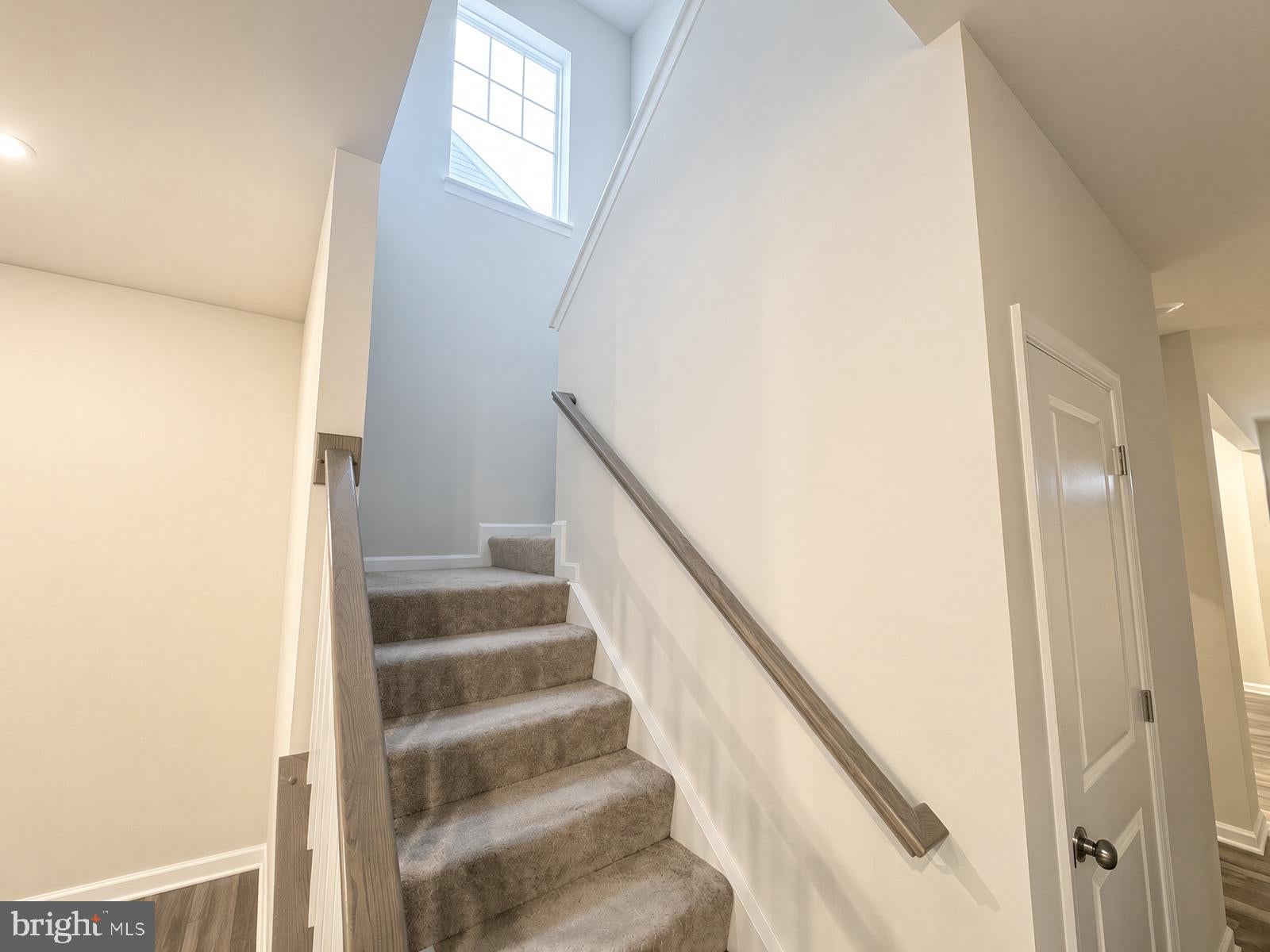 42 TROUT LILY DRIVE