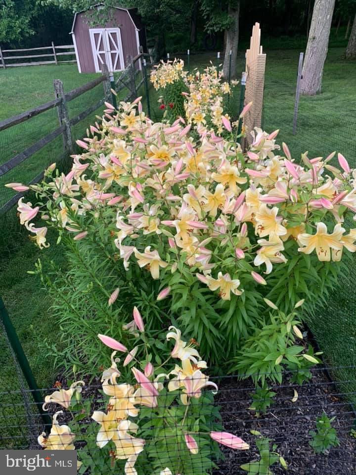 HEARTHSTONE - Residential