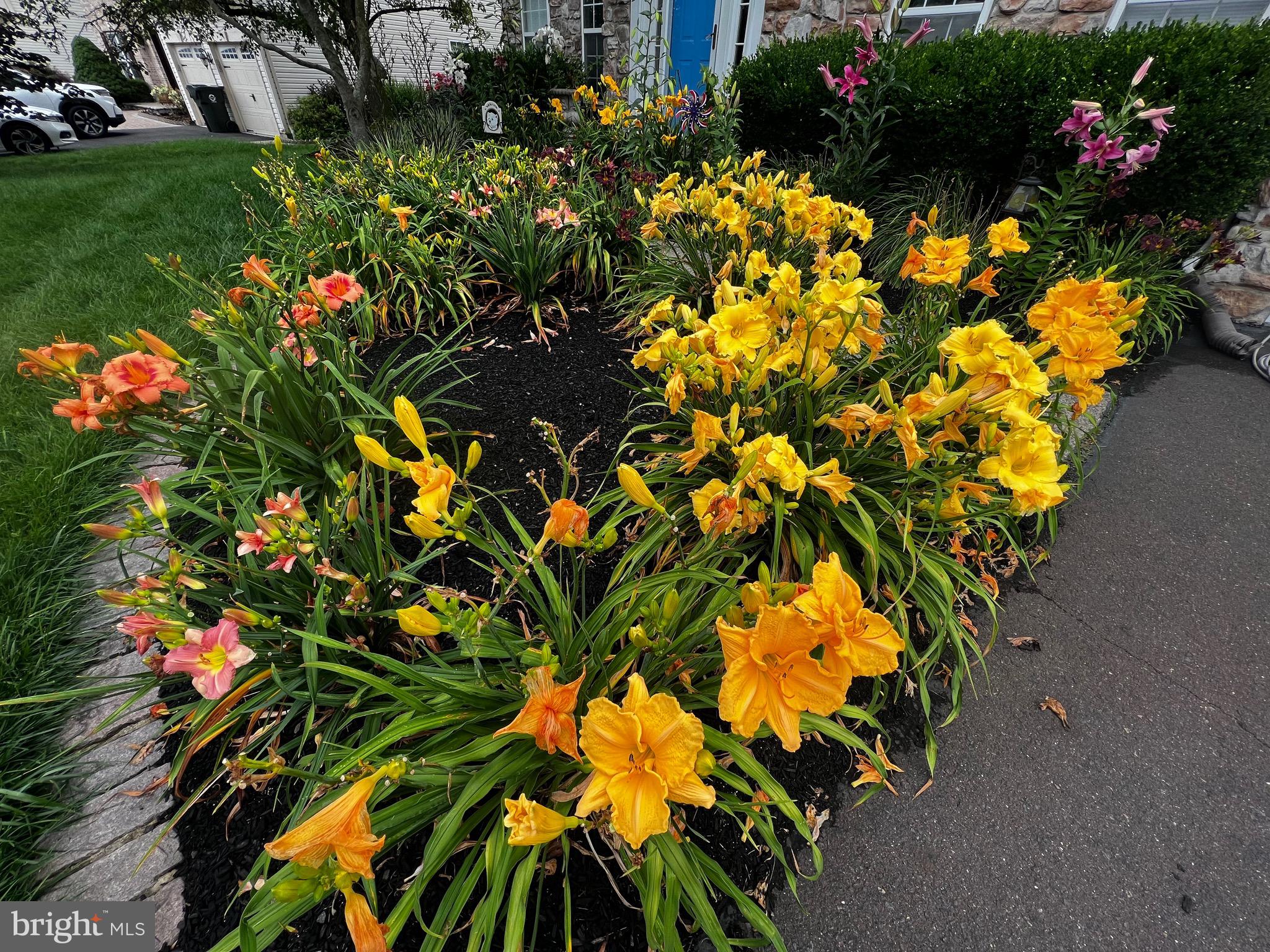 HEARTHSTONE - Residential