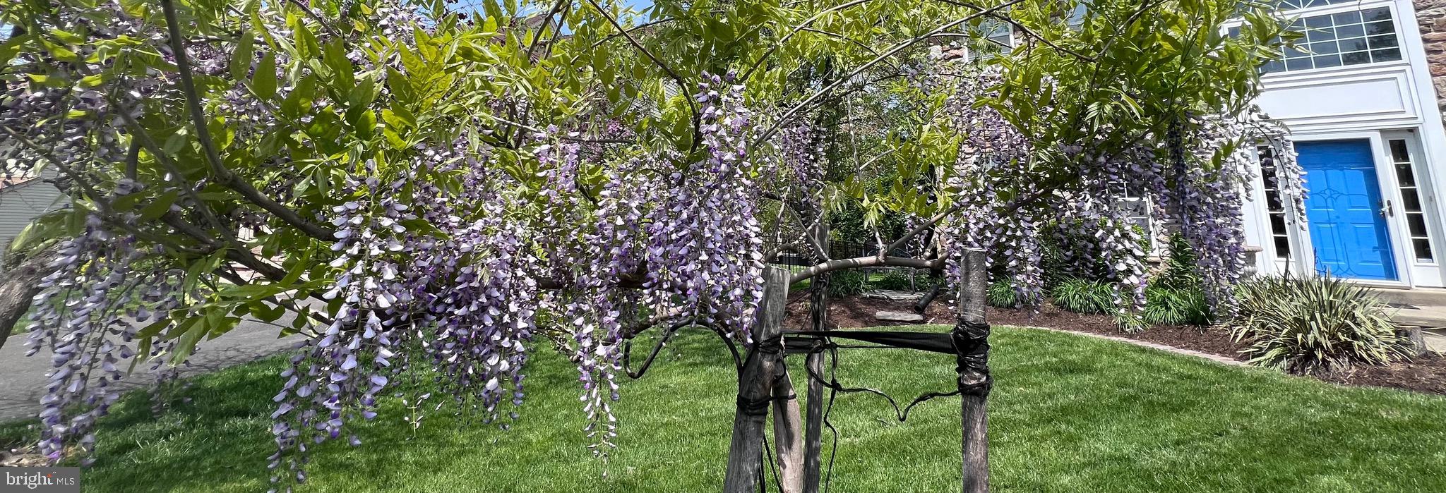 HEARTHSTONE - Residential