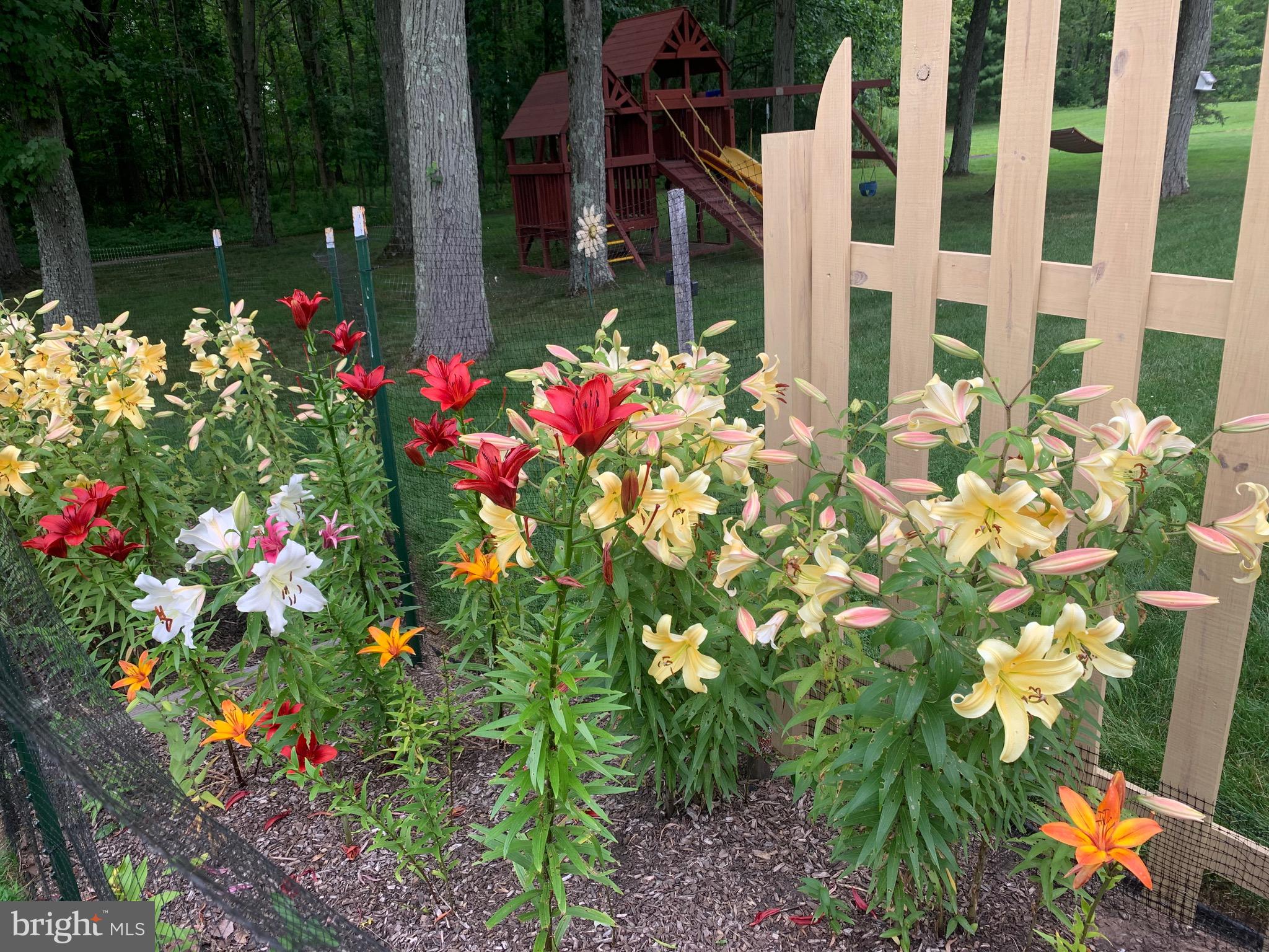 HEARTHSTONE - Residential