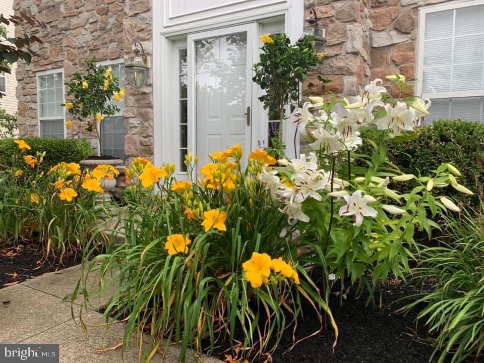 HEARTHSTONE - Residential