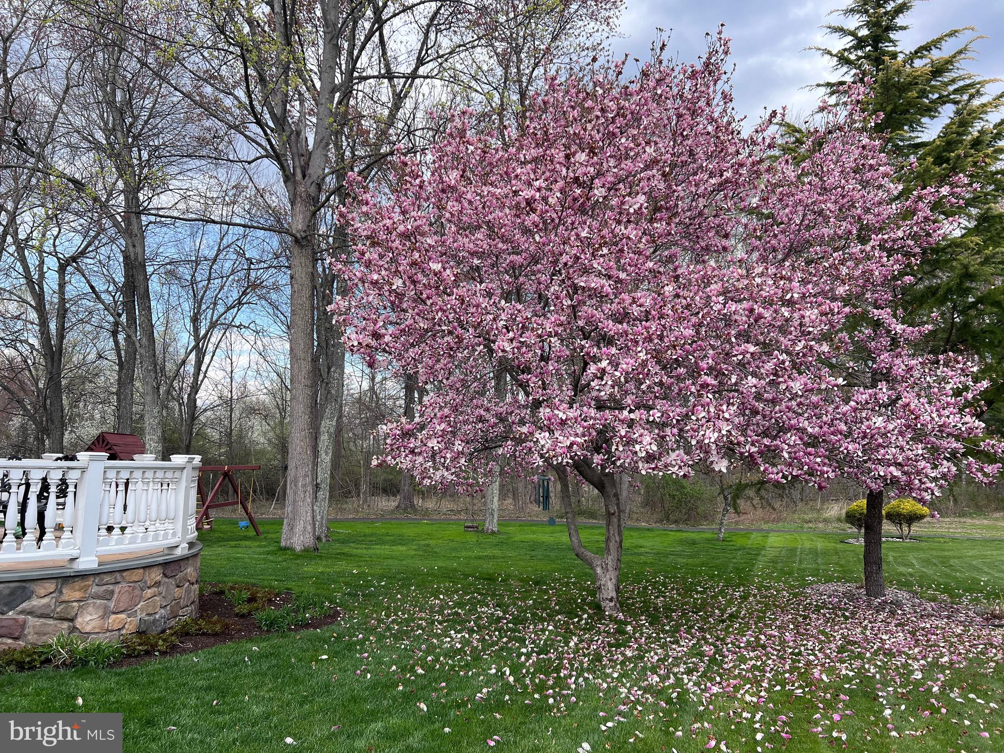 HEARTHSTONE - Residential