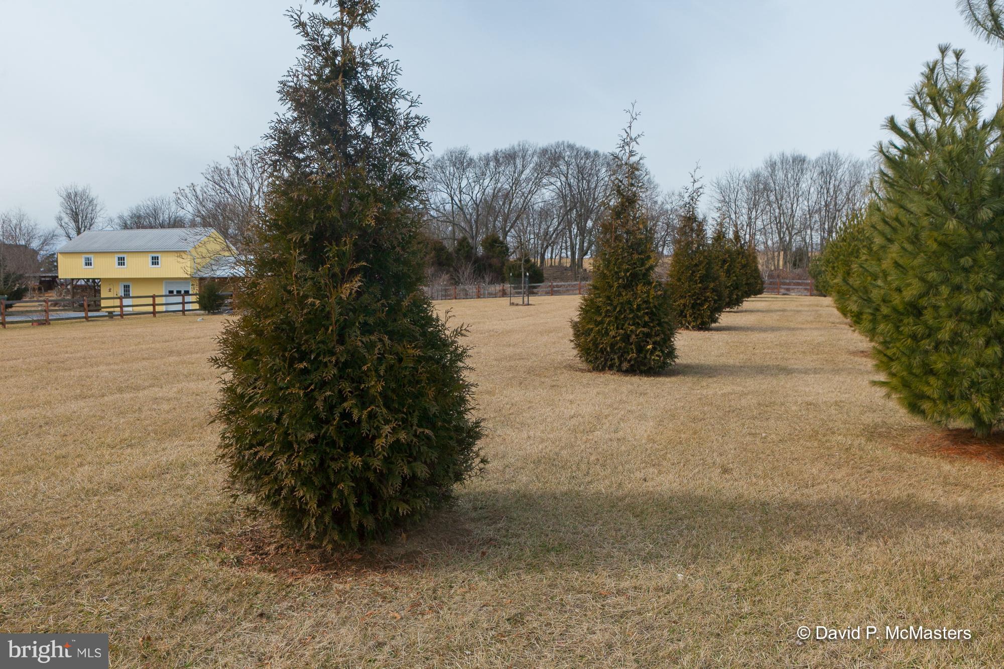 SWAN DALE FARMS - Residential