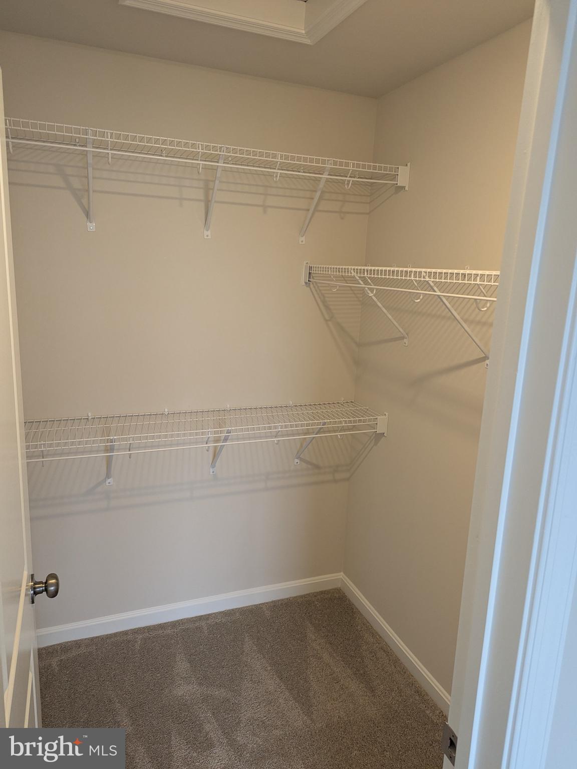 NORBORNE GLEBE - Residential Lease