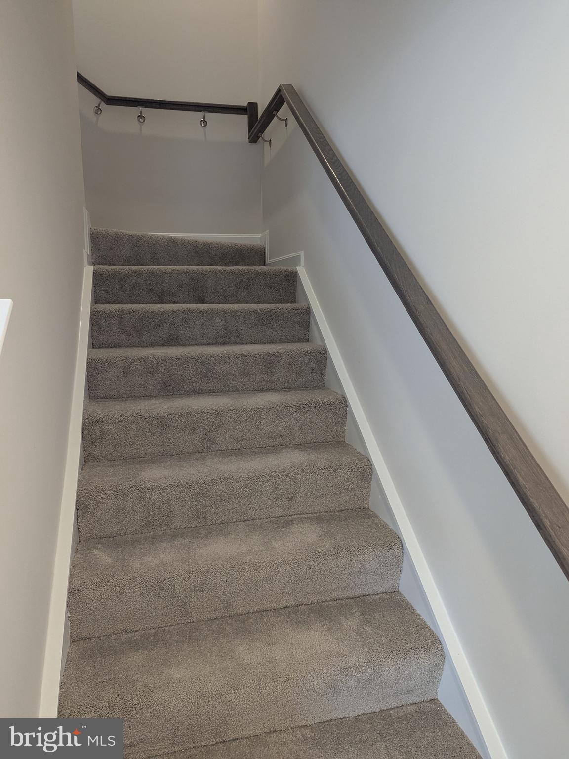 NORBORNE GLEBE - Residential Lease