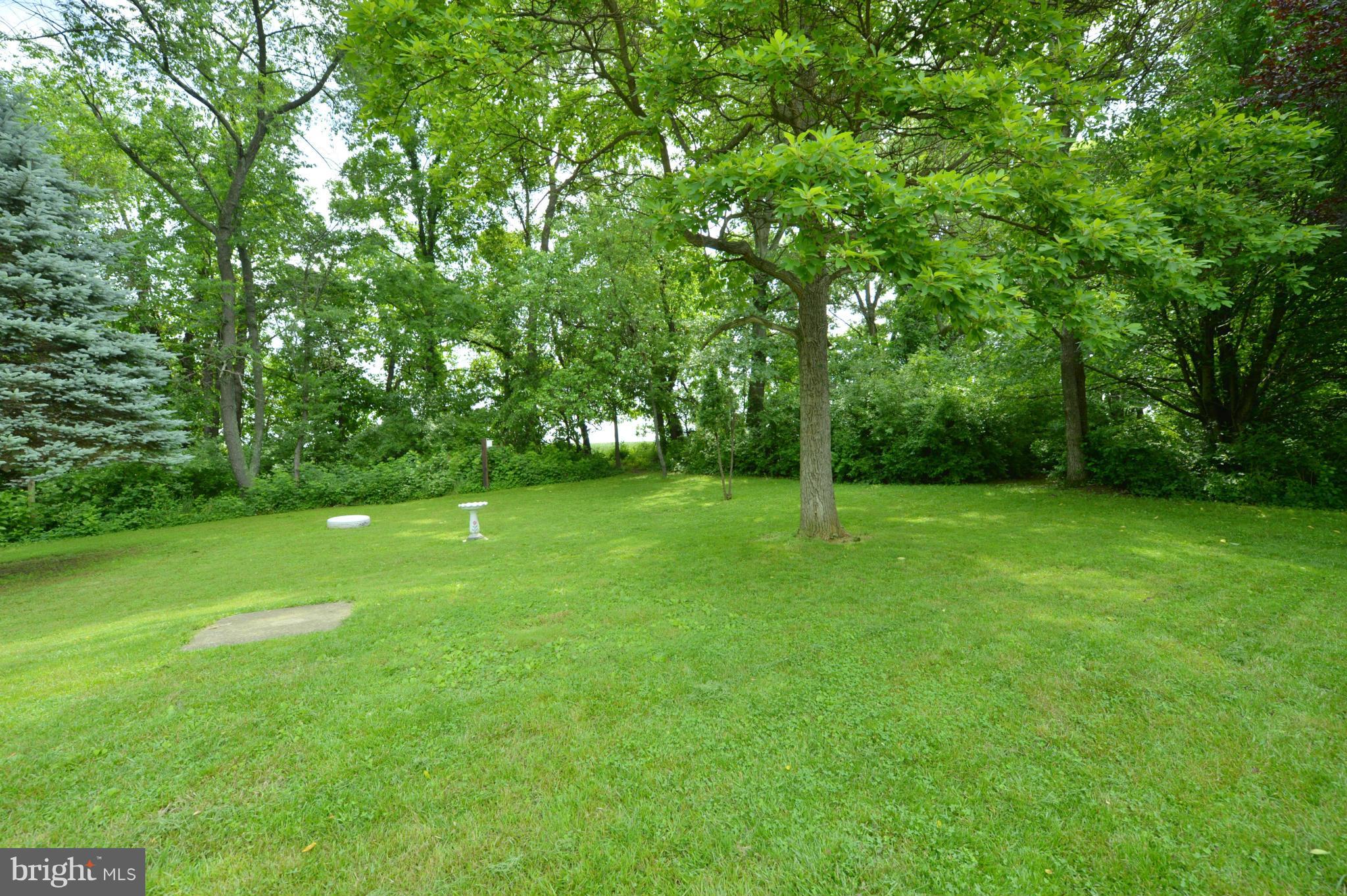 PATRICK HENRY ESTATES - Residential