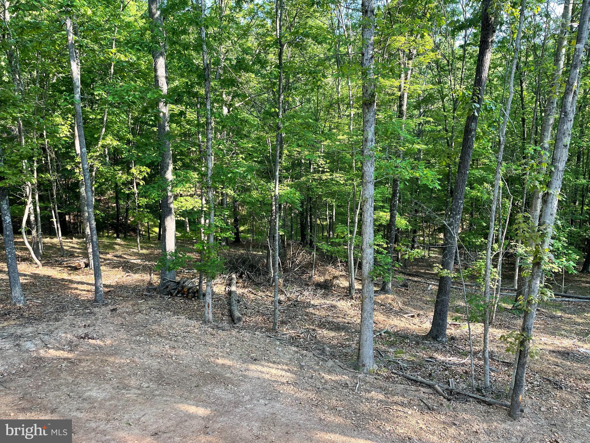 HARNEST HILLS - Residential