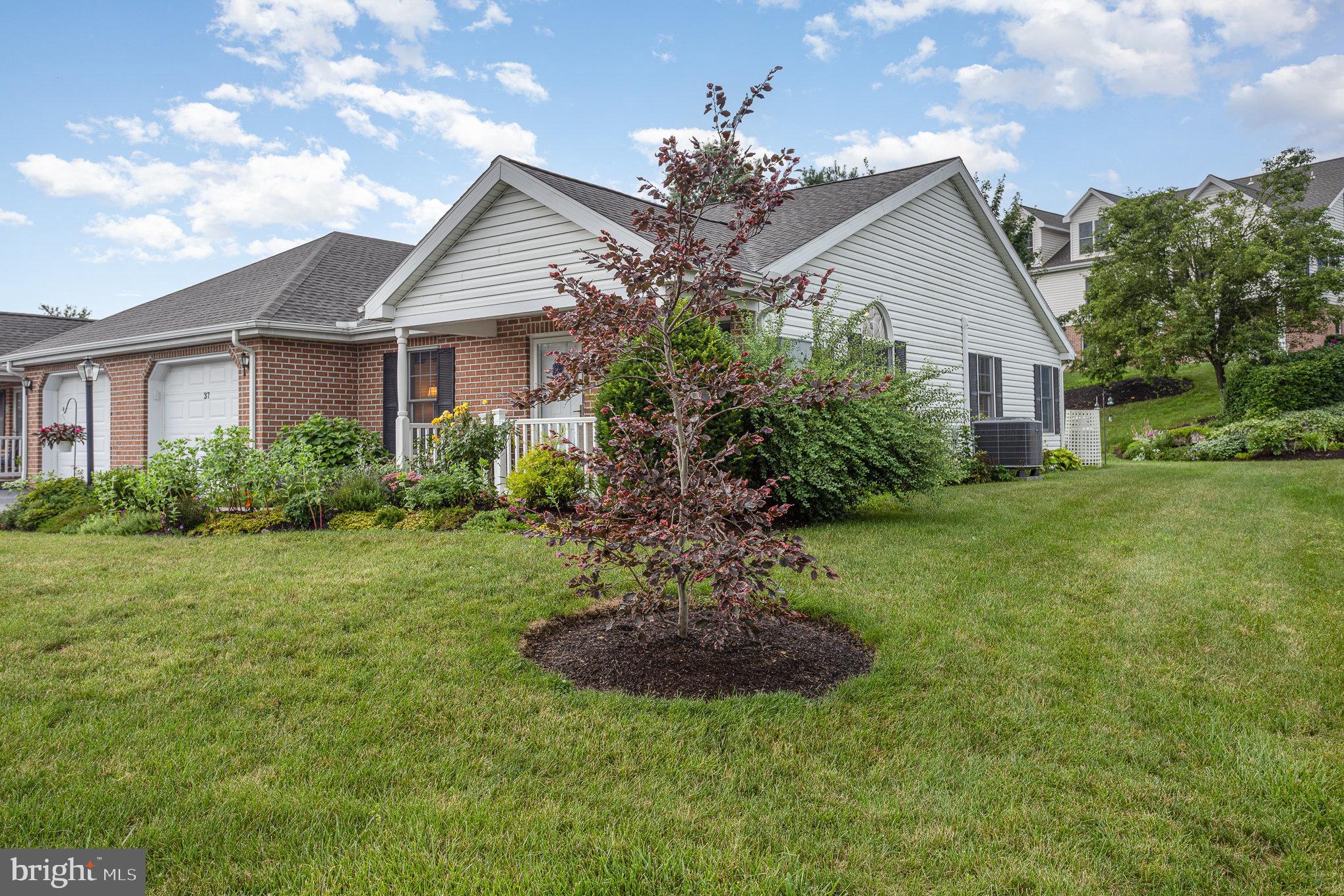 37 BLUE MOUNTAIN VISTA