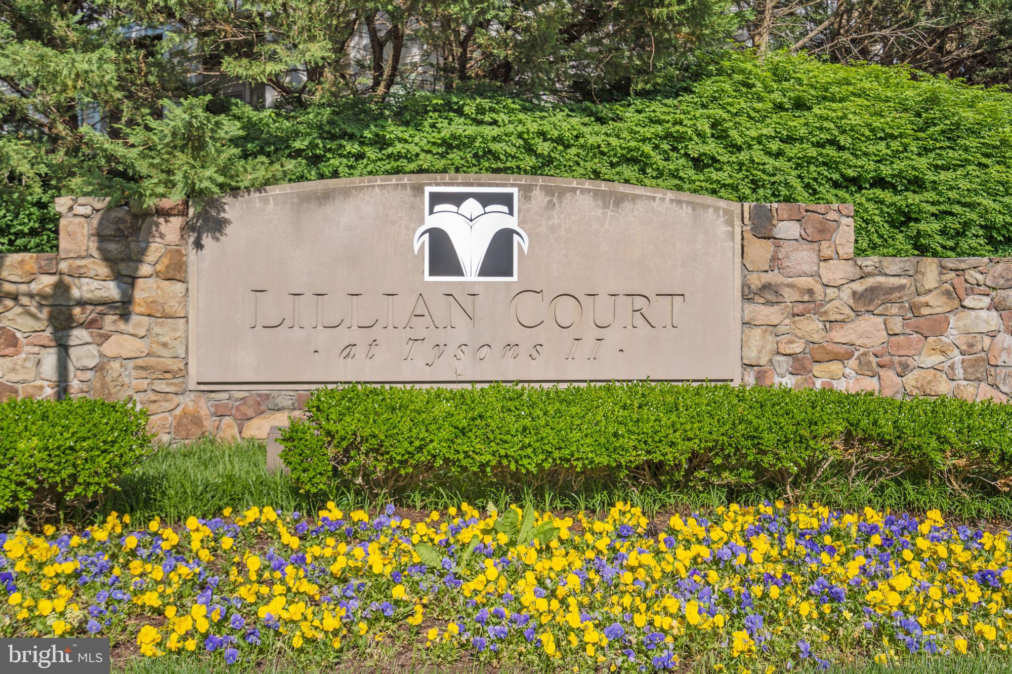 LILLIAN COURT AT TYSONS 11 - Residential