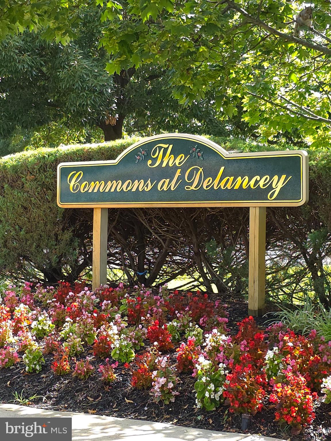 336A DELANCEY PLACE 336A