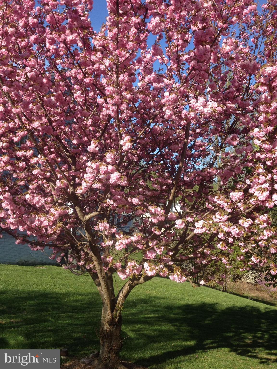 AUTUMN VIEW - Residential