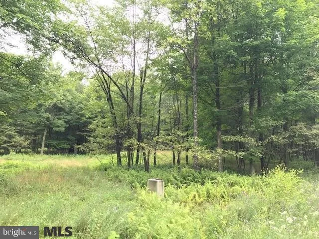 Lot 7 Teaberry Drive, Philipsburg, PA 16866