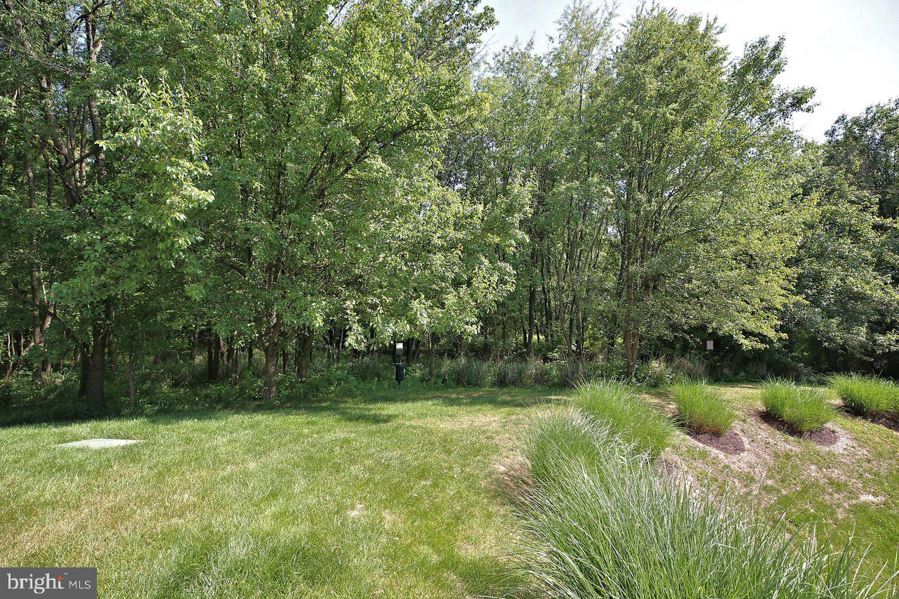 AMBER RIDGE AT MILESTONE - Residential