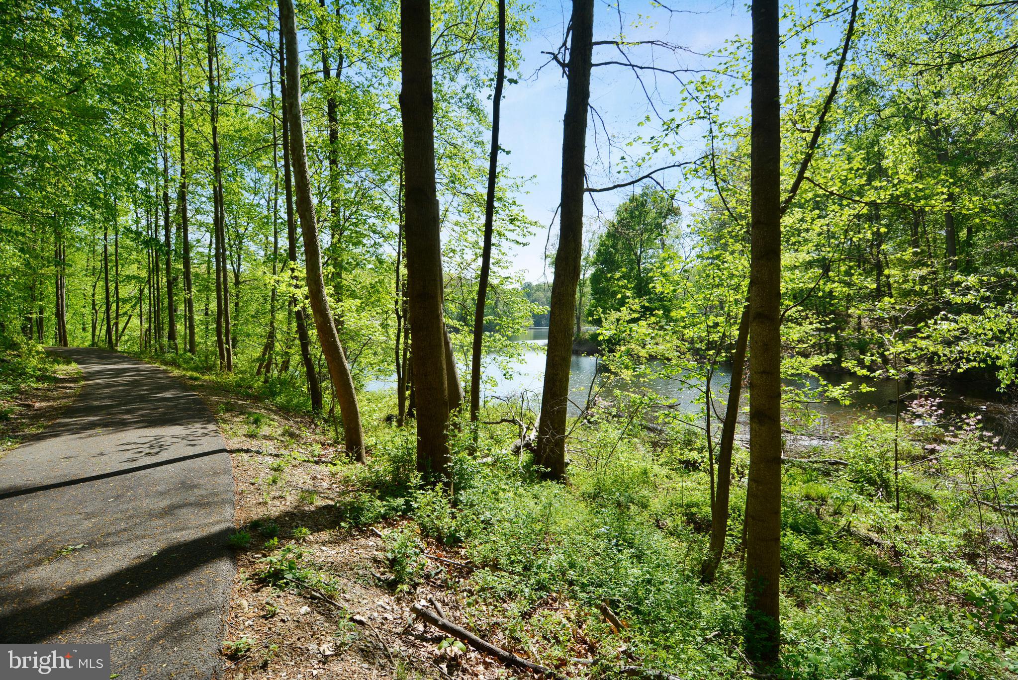 AMBER RIDGE AT MILESTONE - Residential